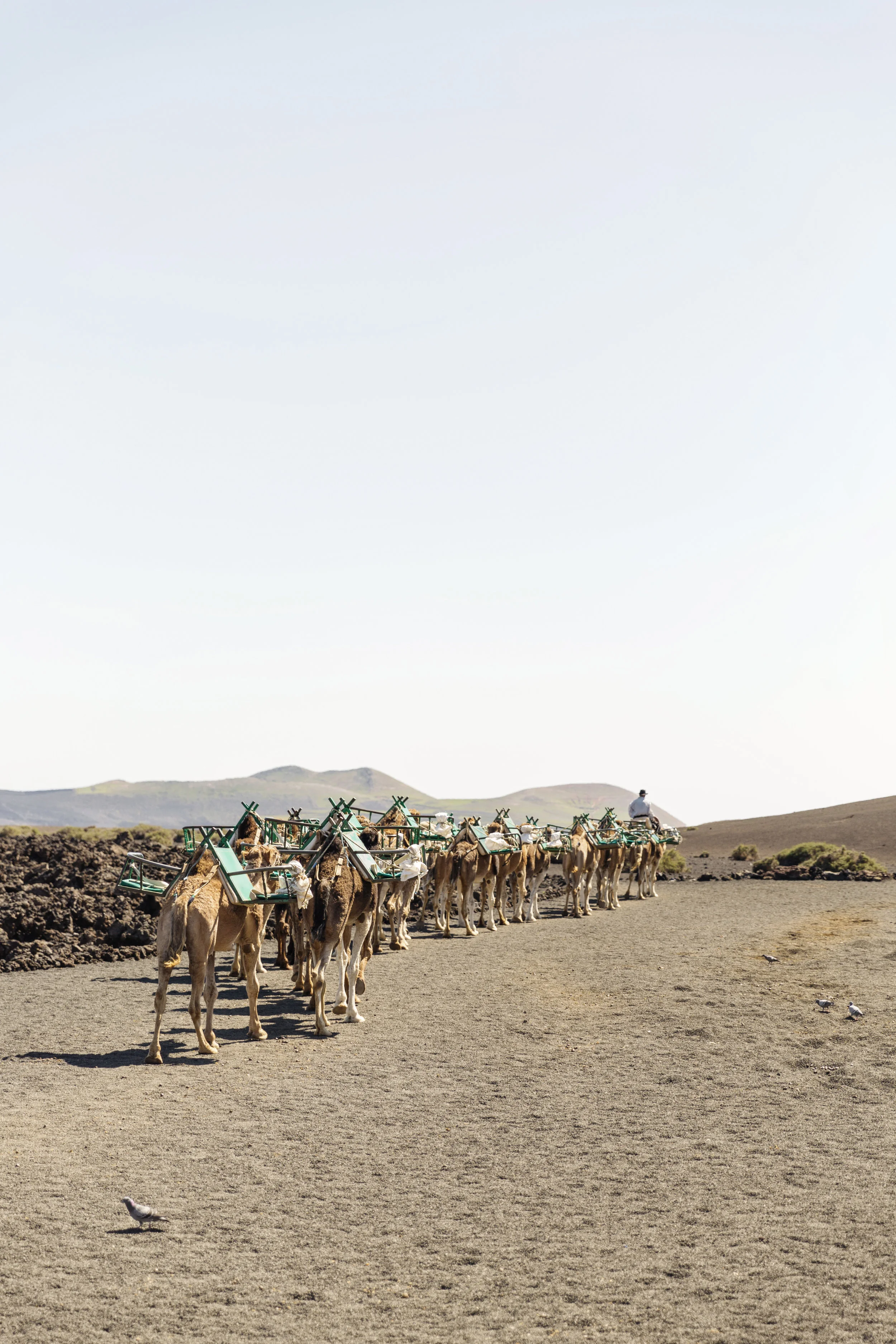 RStumpf_Lanzarote_0669.jpg