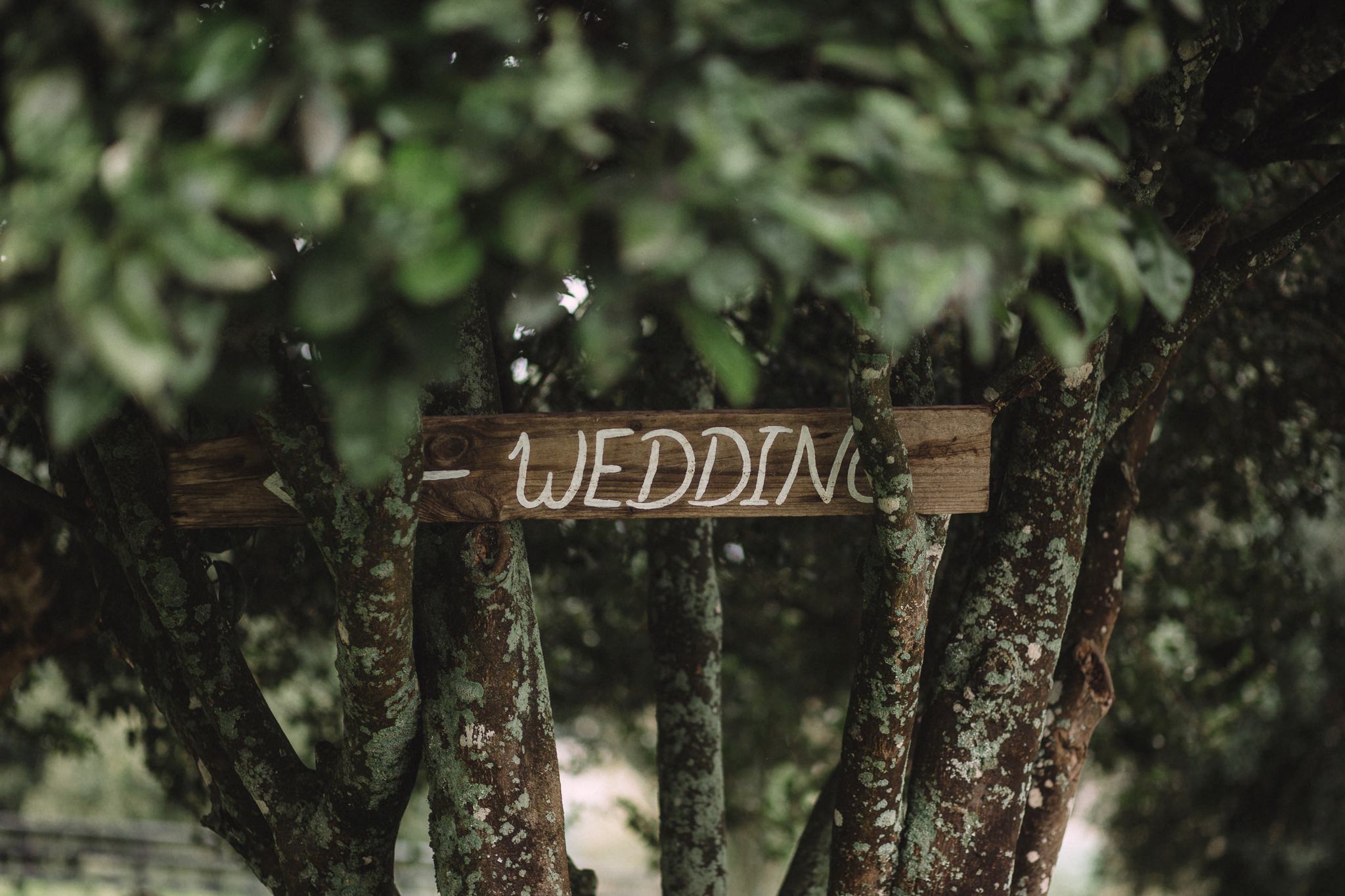 leahJoeyWedding-46.jpg