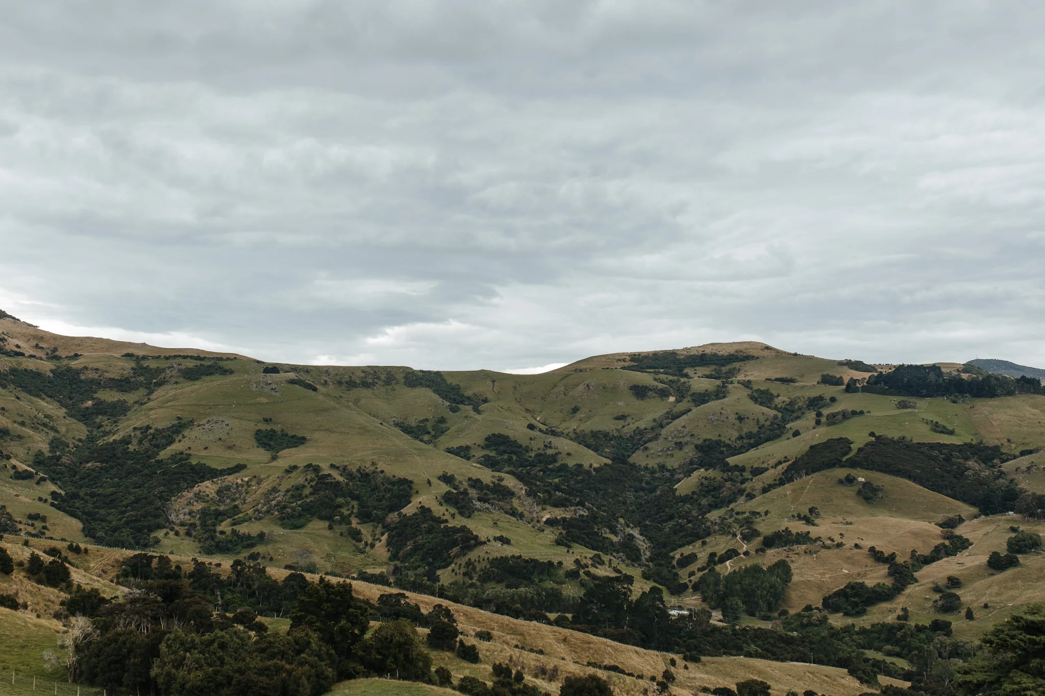 wainui-wedding-blog-aaronsami-2.jpg