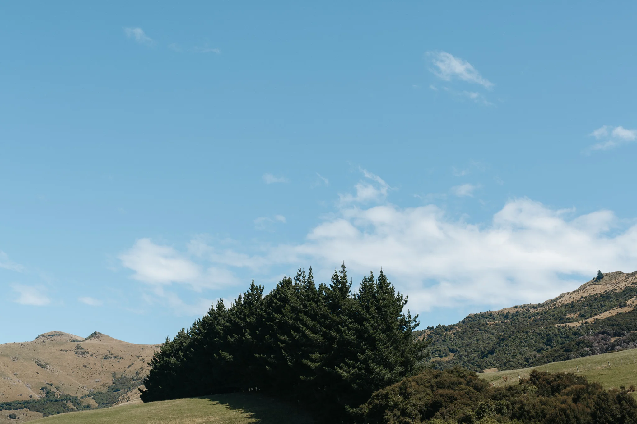 wainui-wedding-blog-aaronsami-80.jpg