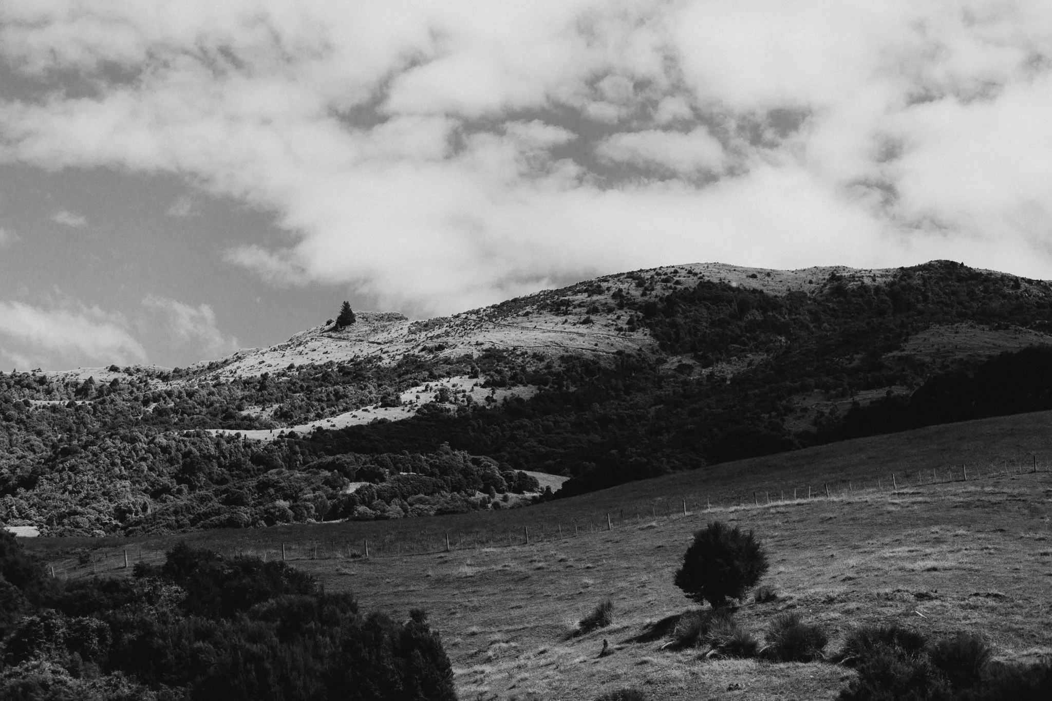 wainui-wedding-blog-aaronsami-93.jpg
