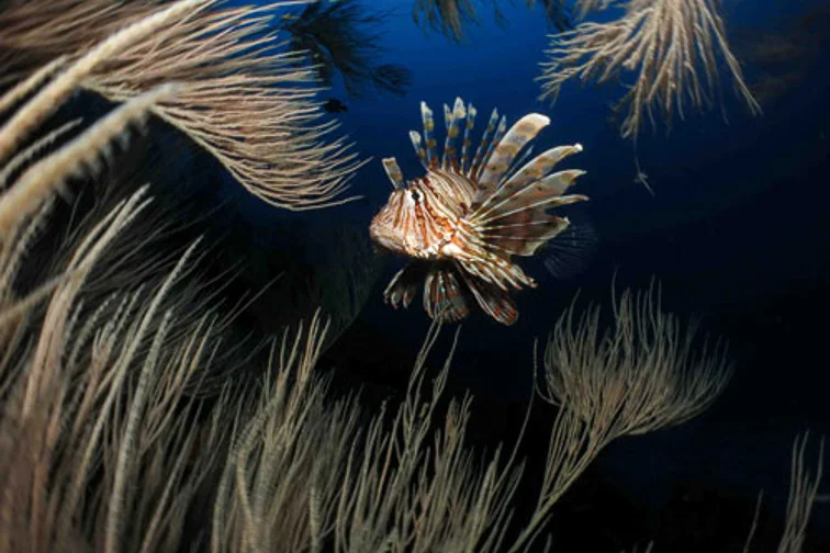 Gallery Ponta-15.jpg
