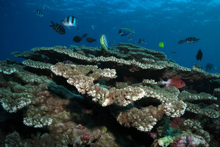 Gallery Ponta-19.jpg