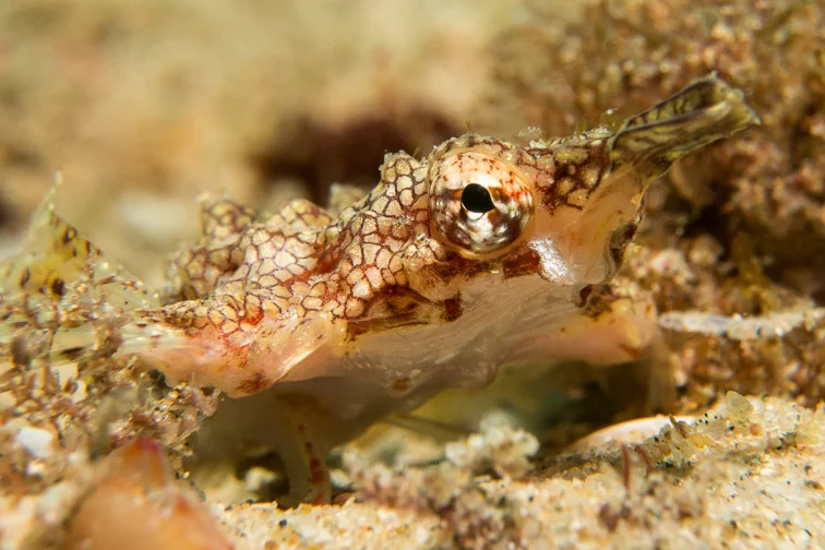 Gallery Ponta-21.jpg