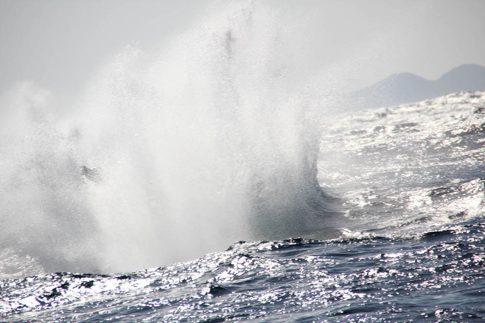 HBW_JS_SPLASH.jpg