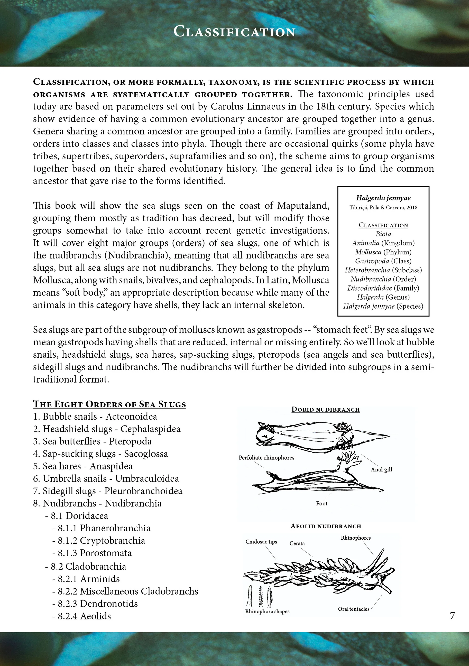 p7.jpg