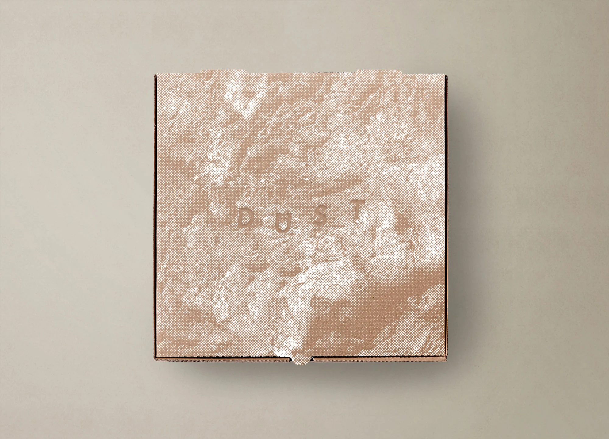 Dust_6_PizzaBox.jpg