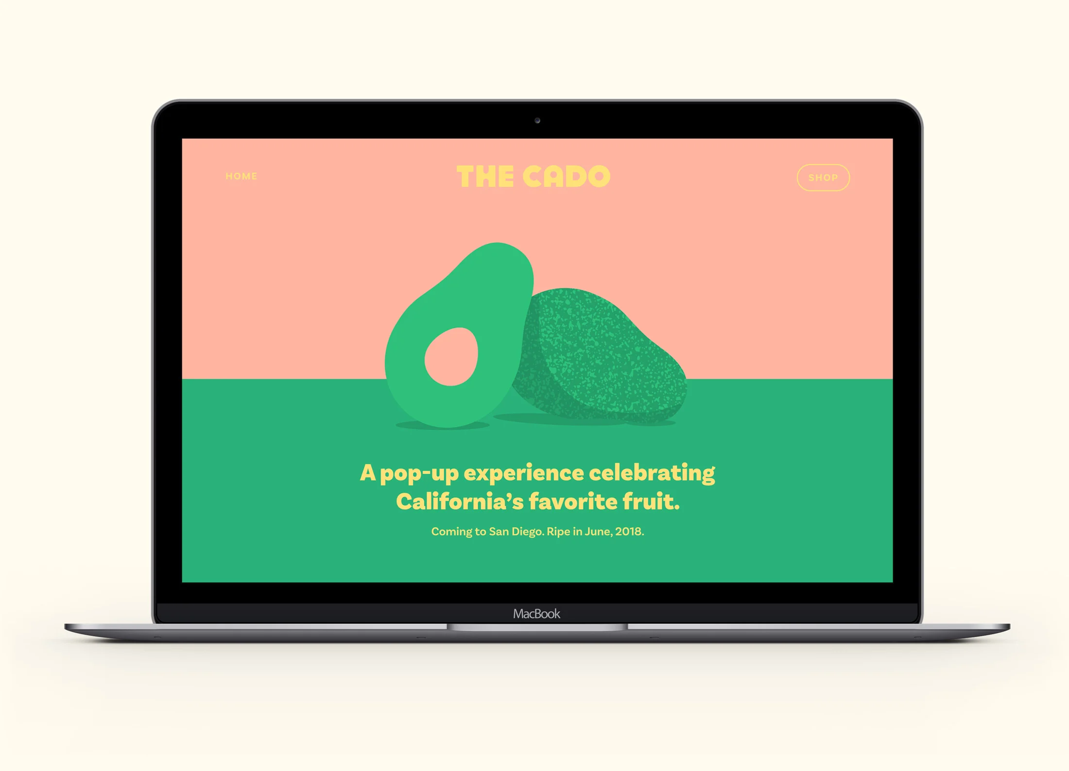Website_Mockup_C2.jpg