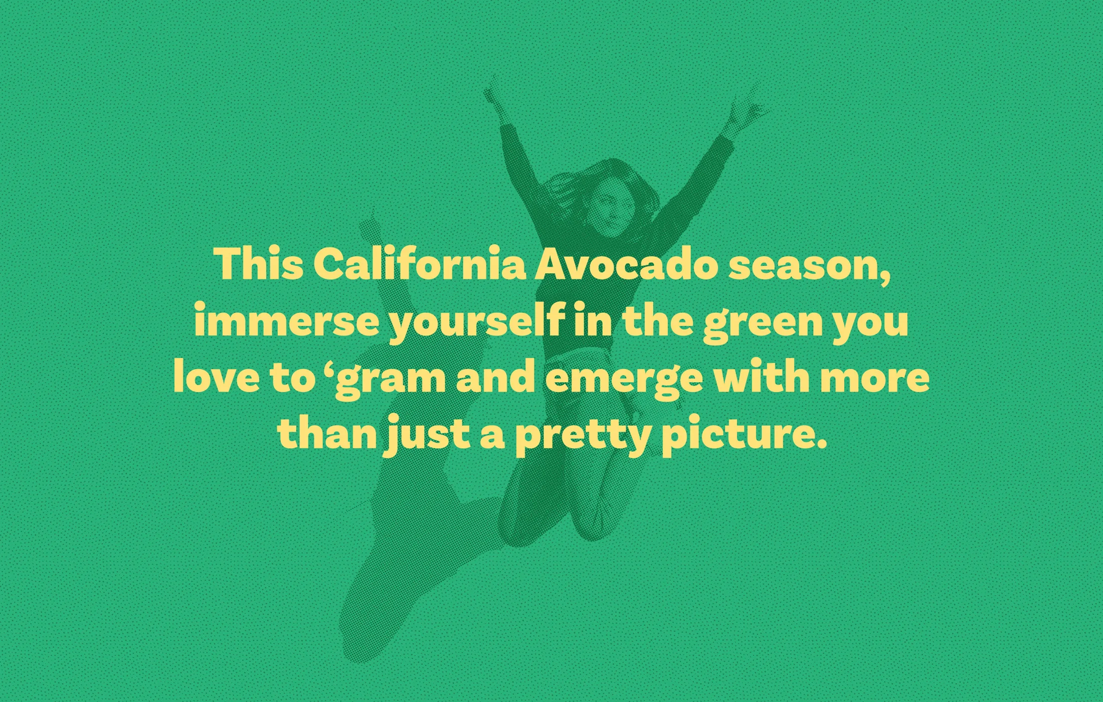 CADO_Banner.jpg