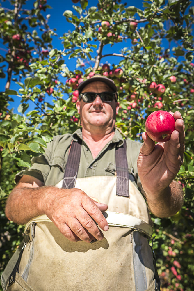 lobo-cider-apples-0421.jpg