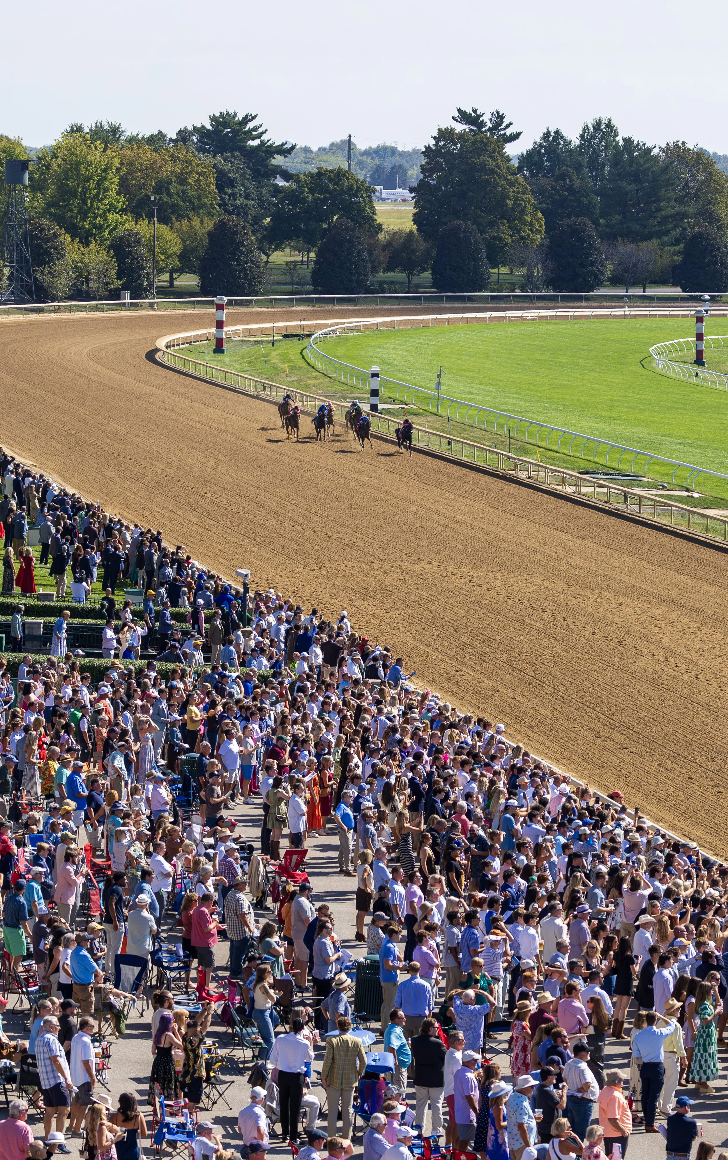 cll_1003_Scene_Crowd.jpg