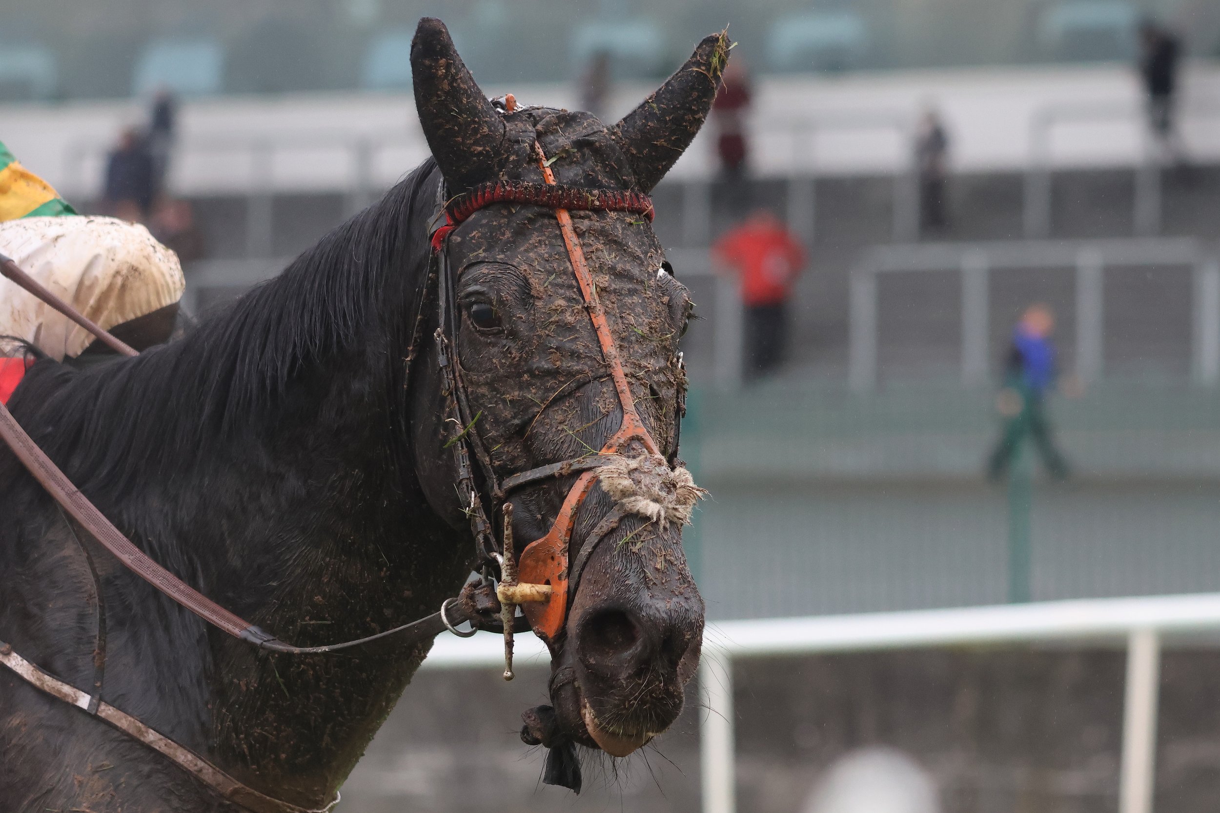 TD calls for sulky racing ban - Limerick Post News