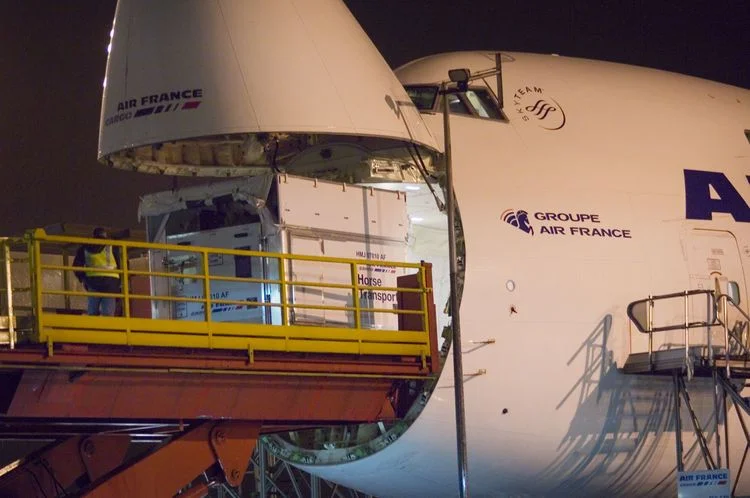 The challenge of feeding globetrotting horses