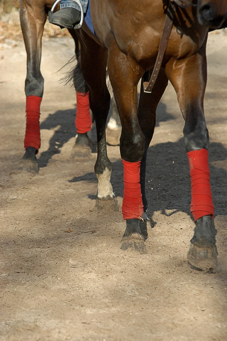 Treating sore shins - can current research make a breakthrough?