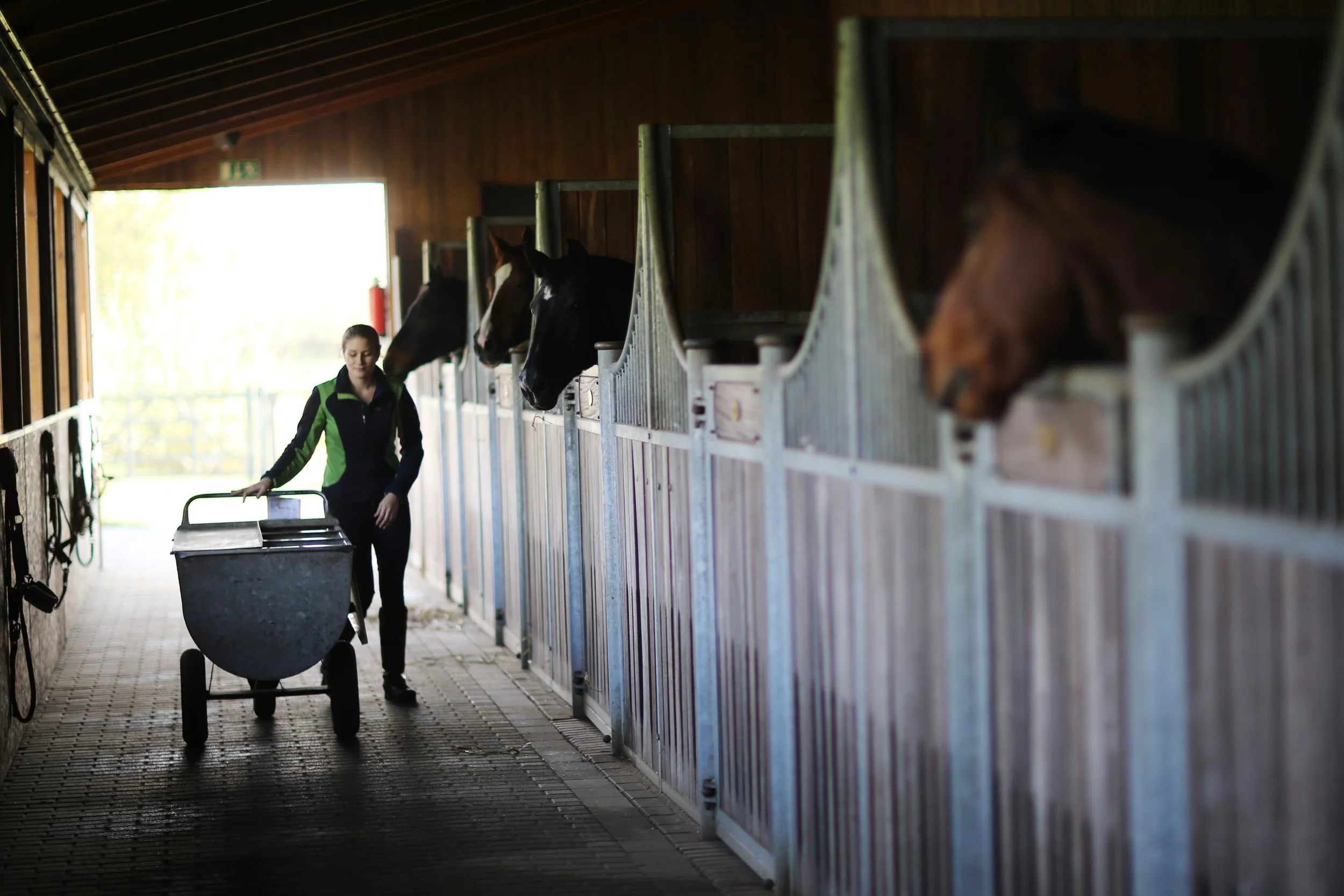 Trickle feeding - more in tune with nature