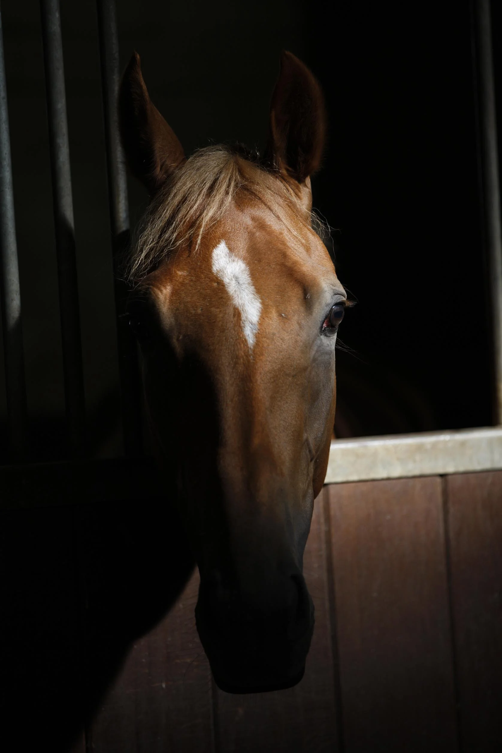 Let there be light - how daylight affects performance and safety