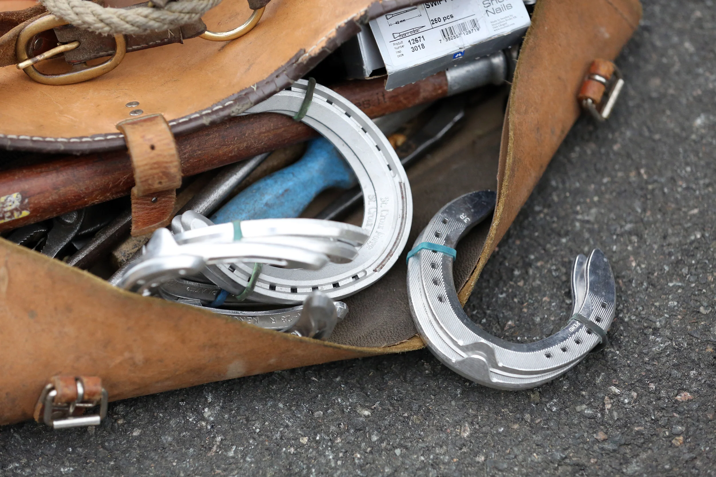 Hooves and ground surface - the impact of intentional shoeing interventions