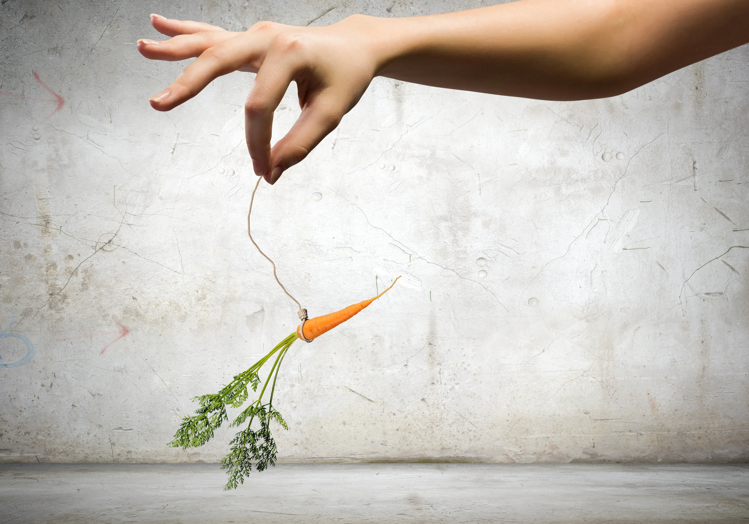 Do racetrack incentives lead the way to a drug-free future?