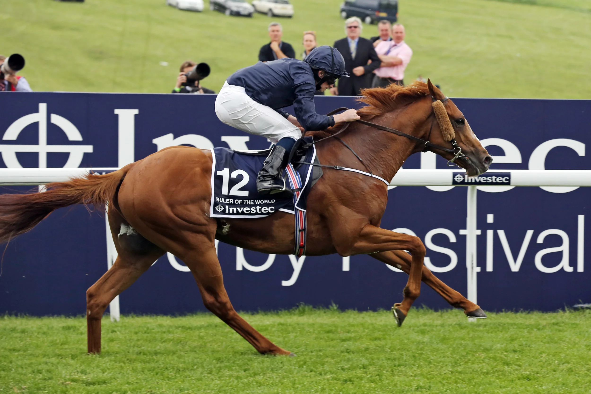 Headgear and the racehorse: Seeing the wood from the trees!