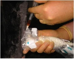 New research into the treatment of tendon and ligament damage in the Thoroughbred