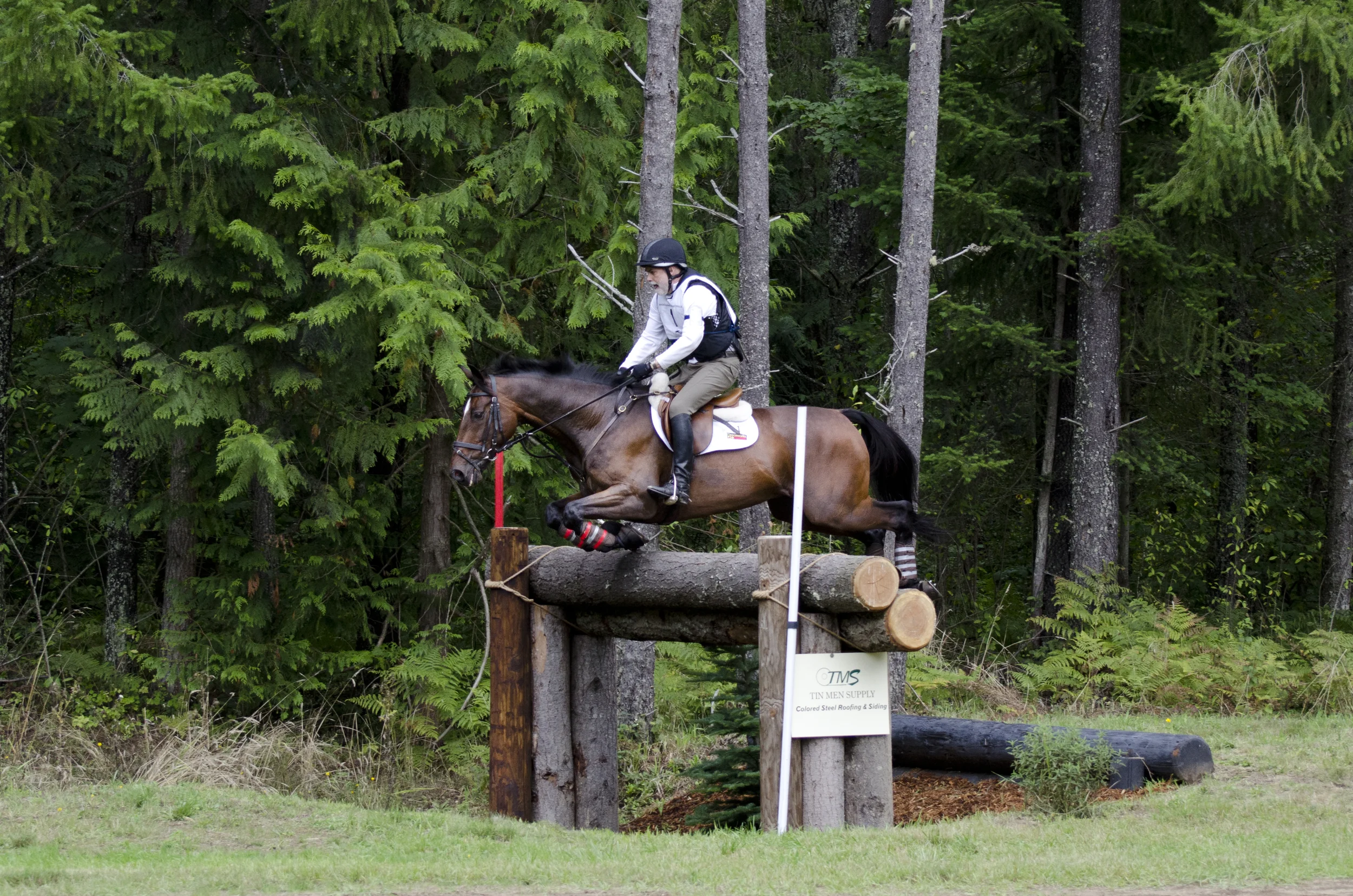 Veterinary research - the funding conundrum