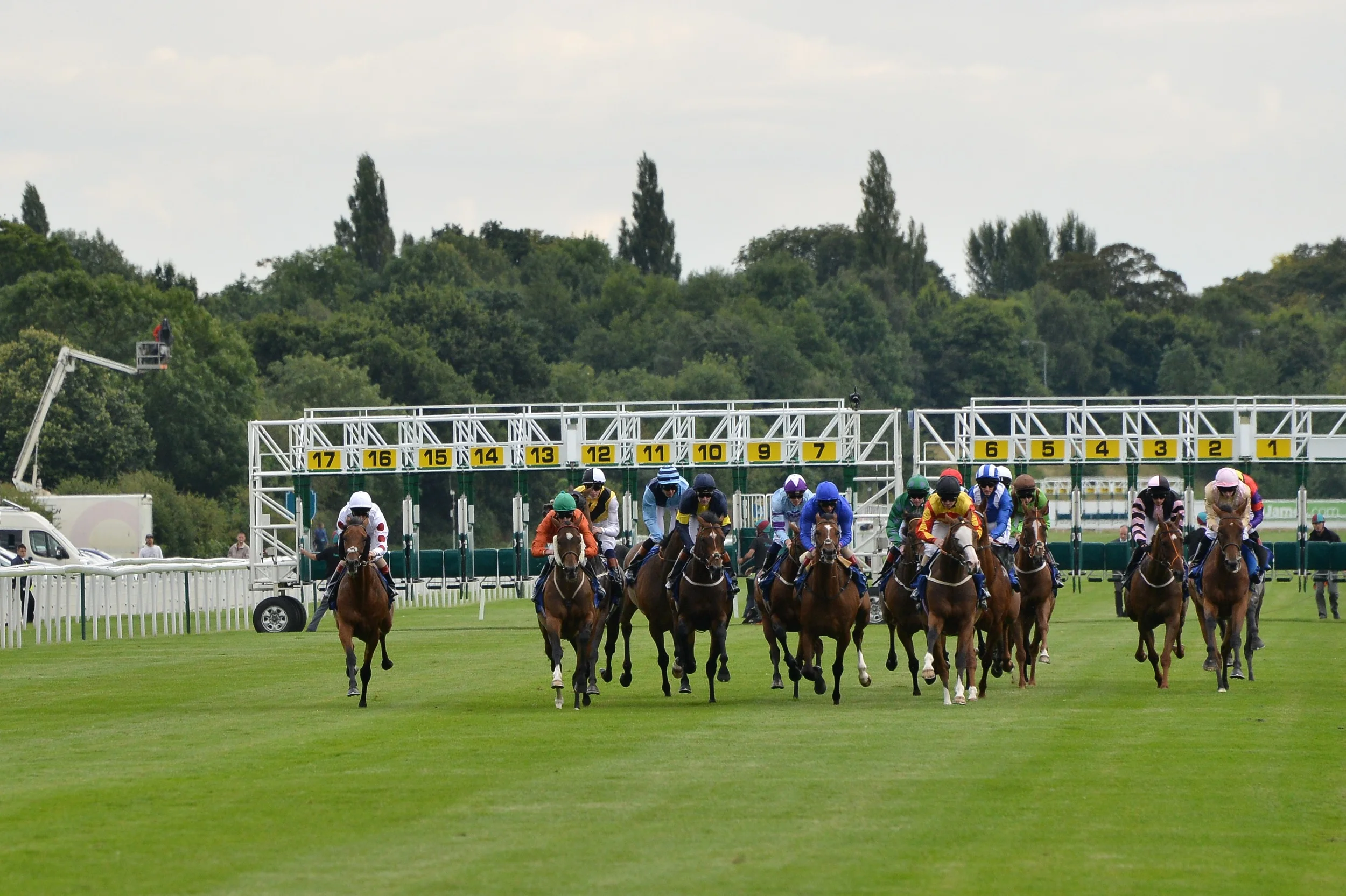 To water or not to water? 