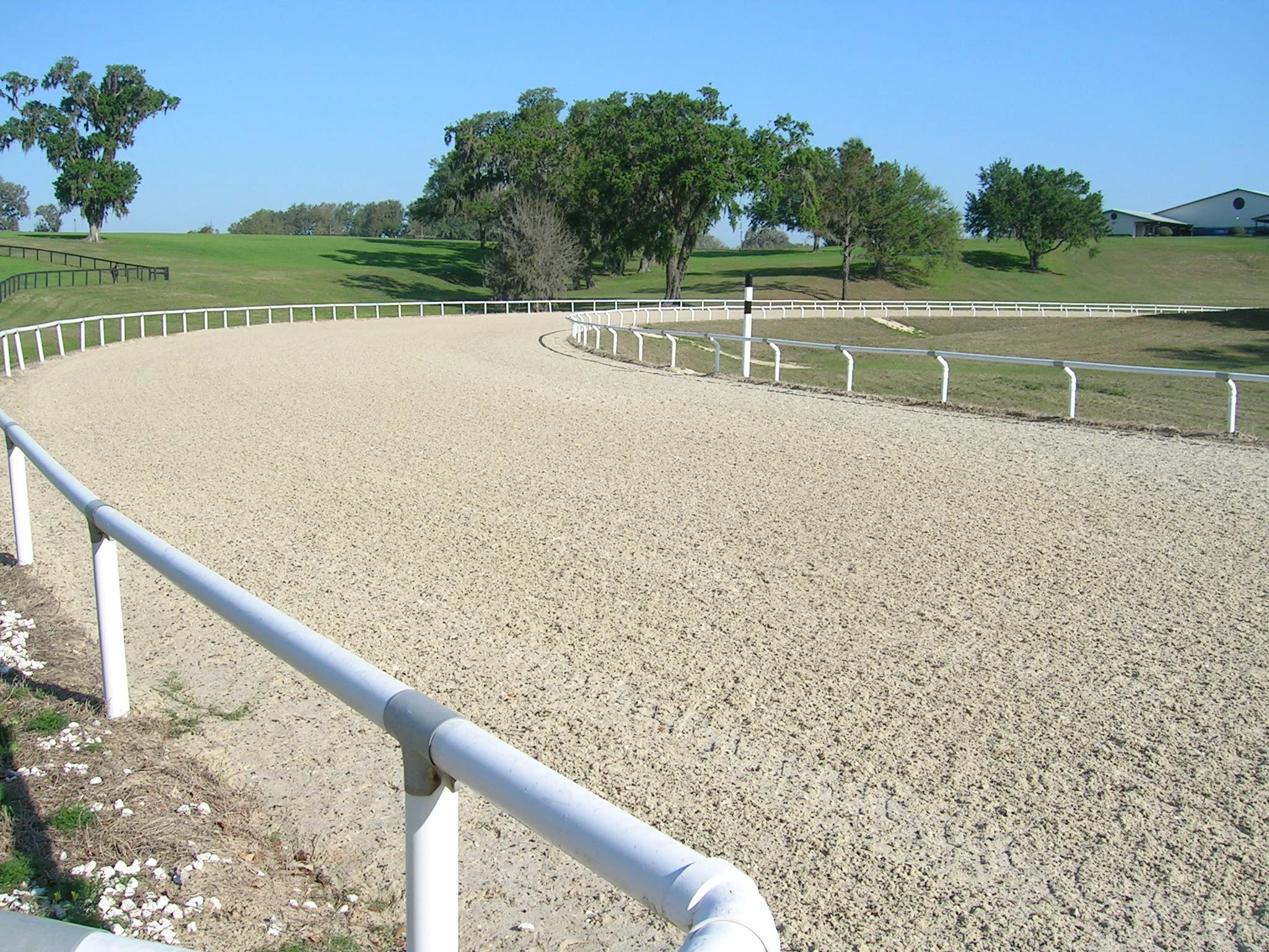 equestrian-surfaces.jpg