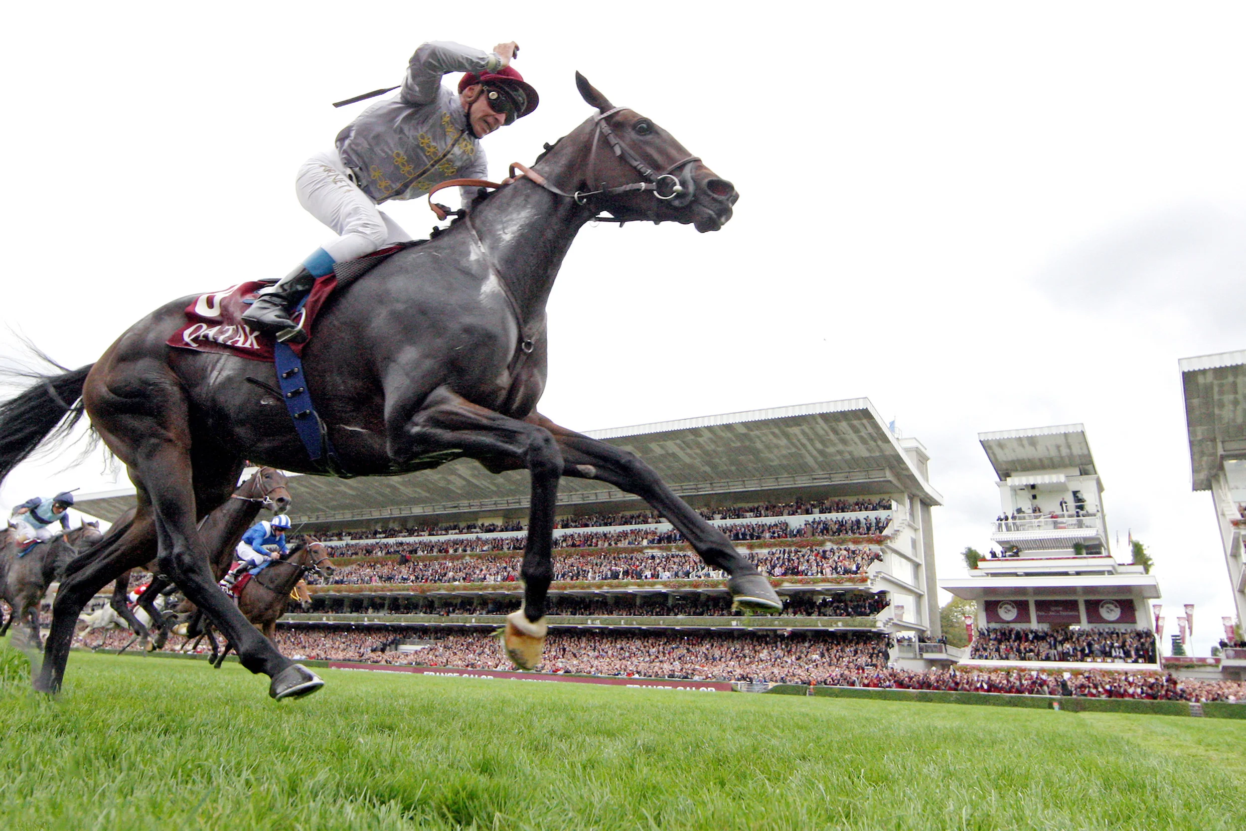 European Champions Days