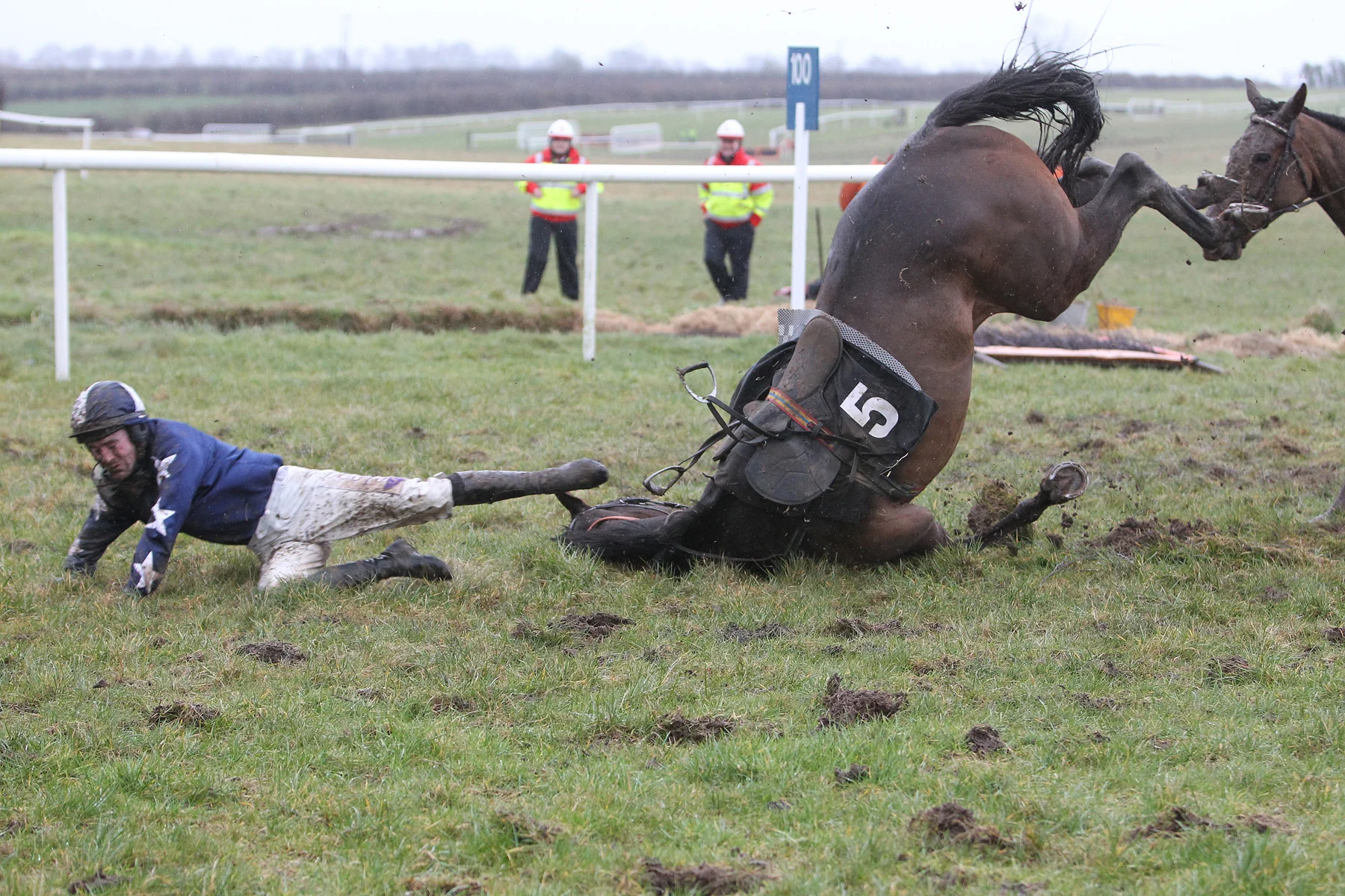 Working to reduce risk of veterinary problems in National Hunt Racing