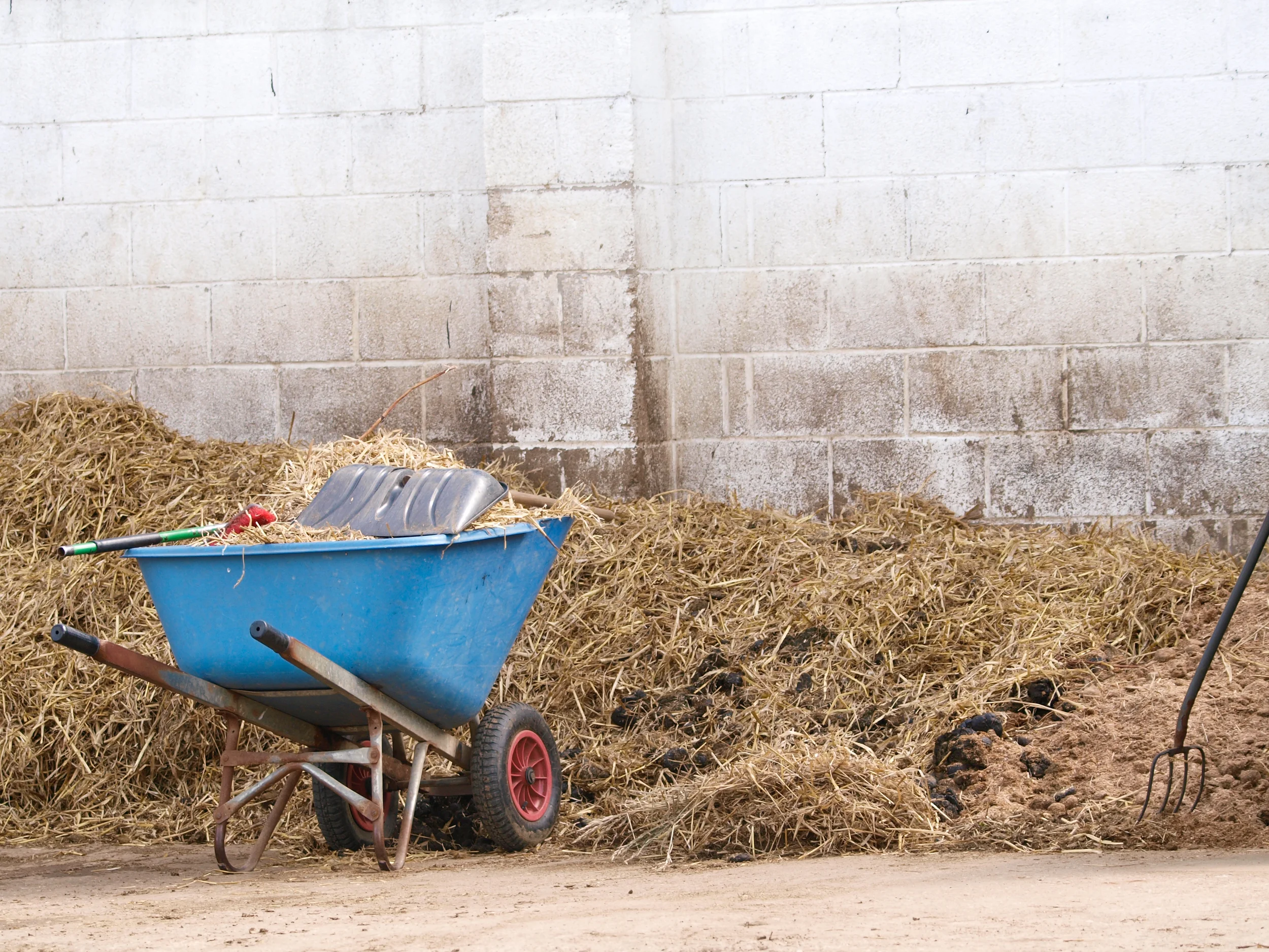 Deworming Thoroughbreds: A Tradition Needing Tweaking - incorporate fecal egg counts in your deworming program