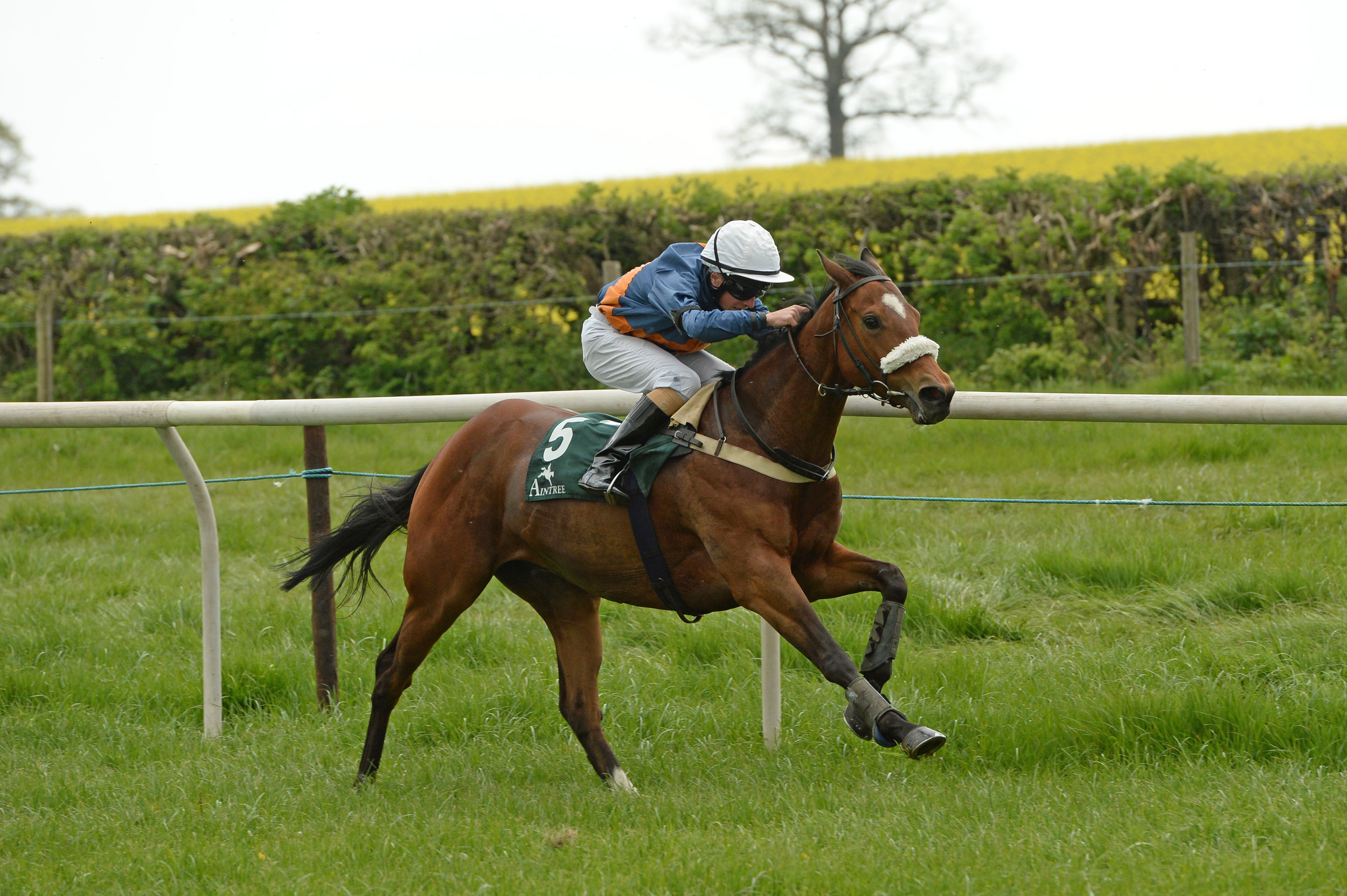 2015 Champion Apprentice, Tom Marquand, started his career pony racing.JPG