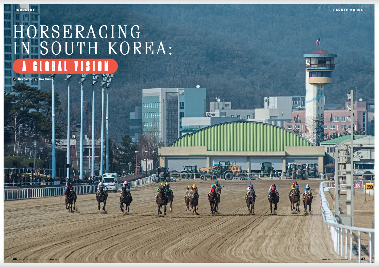 On the evening of 19th January 2017, something special happened in Dubai. To the casual spectator it might have seemed like any other horse race, but to viewers in Korea, the 1200m District One Handicap at Meydan was a watershed moment in their nation’s sporting history. Because the winner of this race was Main Stay, a four-year-old colt trained by Kim Young Kwan and the first Korean-trained horse to win at a significant international meeting since thoroughbred horse racing was established in South Korea almost 100 years ago. What is more, the winner carried the (KOR) suffix in the racecard, underlining the fact that the country is now capable of producing internationally competitive thoroughbreds. Yet as Main Stay crossed the line on that fateful night, even switched-on racing enthusiasts and professionals with a broad international perspective may have asked, “So they race in Korea?” Indeed, this otherwise significant nation’s racing industry remains relatively unknown across the globe. Recent developments have brought Korean racing into the spotlight however, and notable domestic and international expansion projects put in place by the Korea Racing Authority (KRA) could soon see it established as an influential player on the global racing scene. CONTEXT In sporting terms, Korea would most commonly be associated with taekwondo, baseball, soccer, or even figure skating. Yet horseracing is in fact the country’s second most popular spectator sport after baseball, with annual attendance of over 15 million. What is more, betting turnover stands at around US$6.5 billion per annum, the seventh-highest in the world, meaning that horseracing in Korea already boasts figures that some of the most celebrated racing nations can only dream of. Despite massive obstacles such as Japanese occupation (1910-1945), partition (1945), the Korean War (1950-53), and an ongoing state of tension with the North, horseracing in Korea has succeeded in following the same upward trajectory taken by Korean society as a whole through the second half of the 20th Century. Admittedly, it remains relatively underdeveloped compared to other jurisdictions in certain respects, such as horsemanship and welfare, but has come a long way in a short period and continues to develop at a rapid rate. With formalised racing having first begun in Korea in 1922, it was only in the 1980s that races were limited to thoroughbreds and subject to regulation of an international standard. Today, Korean racing runs like a well-oiled machine, with a highly developed administration harnessing advanced infrastructure so as to offer an attractive sporting product. There are serious challenges facing the sport in Korea, too, although difficulties overcome so far suggest that these in turn will be surmounted given time. CURRENT STATE Only flat racing takes place in the country and there are three racecourses: one in the Seoul suburb of Gwacheon, another in the southern city of Busan, and a final track based on the volcanic island of Jeju, some 50 miles to the southwest of the Korean peninsula. Racing takes place year-round, with regular fixtures at Seoul on Saturdays and Sundays, Busan on Fridays and Sundays, and Jeju on Fridays and Saturdays. Races in Jeju are limited to an indigenous breed of pony. These stocky beasts may cause some amusement when urged to a full gallop by their seemingly over-sized riders, but pony racing in Jeju is no joke, with serious betting turnover registered and an important specialised breeding sector supporting the on-track action. The thoroughbreds race at Seoul and Busan and are stabled and trained at the tracks, which are both sand-based ovals. Horses are limited to racing at their home track, except when it comes to some of the season’s most significant races, and there is a healthy rivalry between the two cities’ racing people. The number of horses in training currently stands at around 3,000, with 112 registered jockeys and 86 trainers. Trainers apply for boxes with the KRA, and 18 is a standard initial allocation. Success is rewarded with more boxes, while trainers who struggle or fall foul of regulations can see their licence stripped. With the KRA holding a monopoly over Korean horseracing and all licenced trainers having to comply with strict rules, training fees must fall within a bracket set by the governing authority. This ranges from around $1,000 per month to around $2,000, with trainers left to fix their own rate within this bracket based on their own business model. Korean racing in fact offers the world’s third-highest prize money per race. With an average of over $77,000 up for grabs in each contest, only the UAE and Hong Kong are more generous. Like many racing nations, Korea has its own ‘Triple Crown’ series, consisting of the KRA Cup Mile (1600m, Busan, April), the Korean Derby (1800m, Seoul, May), and the Minister’s Cup (2000m, Seoul, July). The most prestigious race of the Korean calendar has historically been December’s 2300m Grand Prix at Seoul, though the establishment of richly endowed international races could see this change in coming years. INTERNATIONAL DEVELOPMENT One of the most significant recent developments in Korean racing has been the advent of international races. Since 2013, a select number of races have been opened up first to Japanese, then Singaporean, and subsequently international entries. In 2016, the first Korea Autumn Racing Carnival was held at Seoul Racecourse, featuring the $1 million Keeneland Korea Cup (1800m) and the $700,000 Keeneland Korea Sprint (1200m). These flagship contests, which have Grade 1 status in Korea, carry increasing weight due to the country’s 2016 promotion by the International Federation of Horseracing Authorities to Part II of the global pattern. The Sprint is now one of six Korean races recognised with black type in international catalogues. Four of these races are open to foreign-bred horses. Horses from seven foreign nations took part in 2016’s inaugural Korea Autumn Racing Carnival, including runners from France, Hong Kong, Ireland, Japan, the UAE, the UK, and Singapore. In 2017, a new quarantine protocol allowed US-trained runners to compete in Korea for the first time. Linda Rice’s Papa Shot lined up in the 2017 Korea Cup and the Kenny McPeek-trained The Truth or Else took his chance in the Korea Sprint. Neither could match the efforts of the Japanese contenders in the end, with the Sprint falling to Graceful Leap and Yutaka Take and the Cup to London Town and Yasunari Iwata, but both ran with credit and will hopefully encourage further American participation in future. As Korea has sought to expand and enhance its racing industry, increasing numbers of foreign professionals have come to play a role in the sport in the country. Farriers, vets, jockey coaches, handicappers, stewards, commentators, trainers, and jockeys from around the world now contribute their skills and expertise to the betterment of the sport in Korea. Trainers and jockeys from diverse nations including the UK, France, Italy, Australia, New Zealand, Germany, Sweden, Brazil, Serbia, and more have plied their trade in Korea in recent years. Standard protocol is to apply for an initial short-term licence, which will be awarded or denied based on past performance. This can then be renewed or extended depending on KRA approval. BREEDING & SALES Having previously relied heavily on the importation of racehorses, the KRA set up its own breeding programme in the early ’90s with the aim of producing Korean-bred stock of sufficient quality and quantity to reduce the requirement for imports. It was also hoped that a vibrant domestic market could be established to increase the sport’s contribution to the economy as a whole, while also generating employment. Significant progress has since been made, particularly in the past decade, and Korean-bred horses now represent approximately 80% of the racehorses in Korea. In an effort to protect the Korean bloodstock industry, there is a $50,000 limit on the price that can be paid for an individual colt or gelding imported into Korea. This does not apply to fillies however, with the hope being that better quality females can be raced in Korea and then go on to contribute to the standard of Korean stock as broodmares. There is also no limit on the price that can be paid for stallions and broodmares imported into Korea. When it comes to domestic horse sales, private trading between individuals has historically been the most common practice in Korea. Auctions for thoroughbred horses commenced in 1998 and there are now five two-year-old sales (including two breeze-ups) and two sales for yearlings, two-year-olds, and three-year-old held annually. The vast majority of racehorses in Korea that are purchased abroad will be signed for by the Owners’ Association of either Seoul or Busan racecourse. They will subsequently be resold at auction in Korea, often for a much higher price than that originally paid. Thoroughbred breeding in Korea centres around the previously mentioned island of Jeju, where flatter terrain and a less extreme climate allow for better pasture than on the mainland. Of the 205 breeding farms in the country, 155 are located on Jeju Island. There are 110 active stallions in Korea and the KRA has, since 2004, been importing proven stallions of international calibre, often from the US. Grade 1 winners such as 2011 Breeders’ Cup Juvenile winner Hansen and 1999 Haskell Invitational victor Menifee are two names of international repute that have made a strong impact on Korean breeding. Menifee has in fact been the leading sire in Korea for the past six seasons. As was demonstrated by Main Stay in Dubai, Korean-bred horses are now capable of competing at international level and, with continued investment being made in stock, infrastructure, and educational programmes aimed at improving standards of horsemanship, we can only imagine that the (KOR) suffix will soon be less of a curiosity in international racecards. There has even been a Korean-bred yearling, sired by the imported US Grade 1 winner Rock Hard Ten, sell at the prestigious Fasig-Tipton Saratoga Sale in New York. That filly, Rock Sapphire, is a winner at three in the US this season. CHALLENGES From the outside looking in, the entire population of South Korea appears to be under constant threat of catastrophe due to their belligerent northern neighbour. Horseracing is of course not immune to these geopolitical circumstances, and such an ominous presence cannot but affect the KRA’s attempts at both domestic and international expansion. Thankfully, no cataclysm has yet occurred and South Koreans always assure foreigners that, even when the rhetoric is flying, life tends to go on as normal in Korea. Let’s hope this continues to be the case. A more pressing concern for those at the KRA is the public perception of horseracing in Korea. One of the peculiarities of Korean racing is that many owners choose not to take their own colours. This is due to an image problem that racing in Korea (and other countries, particularly in Asia) has suffered from. In fact, horseracing, gambling, and therefore racehorse ownership are seen as degenerate by a significant section of the Korean population, meaning that a substantial number of owners do not wish to be too clearly associated with goings-on at the track. This reluctance does seem to be changing due to careful image curation and positive PR from the KRA, but the majority of horses still run with jockeys sporting their own signature colours. One means of combatting this negative image is the international racing that has become such an integral part of KRA strategy. Koreans are a proud people, and the success of their athletes abroad generally has a strong impact at home. Yuna Kim, 2010 Olympic figure skating gold medallist, and Son Heung-Min, a regular starter for English Premier League club Tottenham Hotspur, are heroes in their homeland and admired by a majority of the domestic population for their achievements. Via international racing and the promotion of horseracing as a sport rather than solely a betting medium, the KRA hope to improve racing’s image and therefore reach a larger and more diverse public. Only time will tell if this shift in perception can be achieved, but current policy appears to be moving in a positive direction. On a much more practical level, before international racing can truly take off in Korea it will be necessary to install a grass track at Seoul to replace the current sand surface, which can be a challenge for overseas competitors not accustomed to its unique characteristics. Just such a plan was announced in 2016 and, despite concerns over how a grass track will fare in Korea’s extreme climate (very hot in summer, very cold in winter, not much in between), it is hoped that it will be completed in 2019. The laying down of a turf track will entail its own set of issues, such as the need to breed and import turf-bred horses, as well as questions over how and where to train horses for the turf, but the KRA is nothing if not ambitious and previously defied the doubters when first announcing the planned establishment of international races. LOOKING FORWARD Korea will host the 37th Asian Racing Conference (ARC) in Seoul in May 2018, welcoming thousands of delegates from across Asia and the globe. Aimed at enhancing the sport through international cooperation and the exchange of knowledge and skills, the ARC will find a most appropriate setting in Seoul, where such endeavours have become a constant concern. From humble origins and through great adversity, Korean racing now stands on the threshold of a bright new dawn. With proper management and the hard work that seemingly comes easily to the Korean people, the remaining challenges to its efforts to establish itself as a racing nation of international significance can surely be overcome. It was little more than 30 years ago that horseracing in Korea was brought up to international standards of administration and regulation. Imagine where it might be 30 years from now… END Alex Cairns is a horseracing writer and photographer. He previously worked for the Korean Racing Authority as English editor and international liaison and is now based in his native Northern Ireland. Email: alex.cairns1@gmail.com Website: www.winningpost.net Twitter: @ACHorseRacing Instagram: @the_winning_post