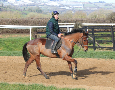 WILLIE MULLINS