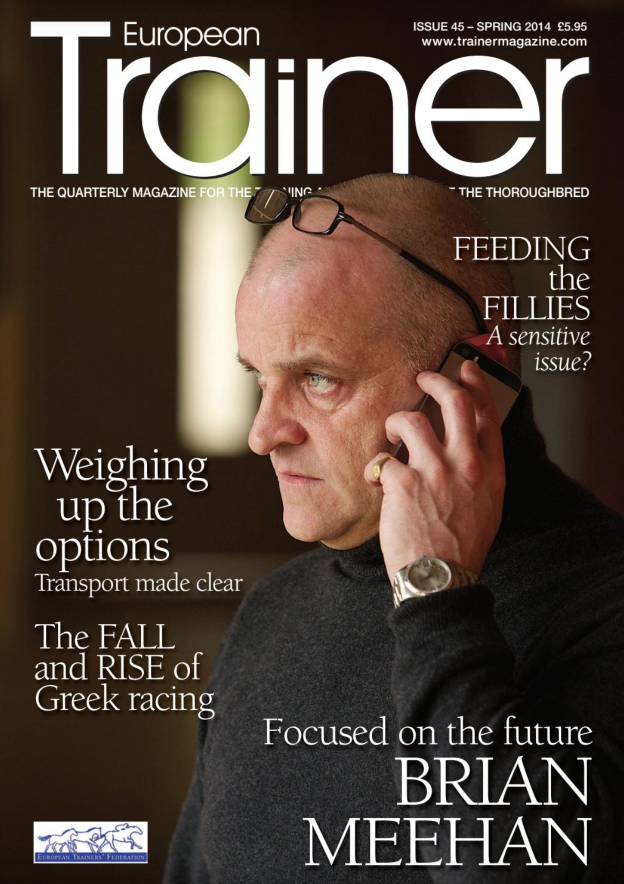 Spring 2014, issue 45 (PRINT)