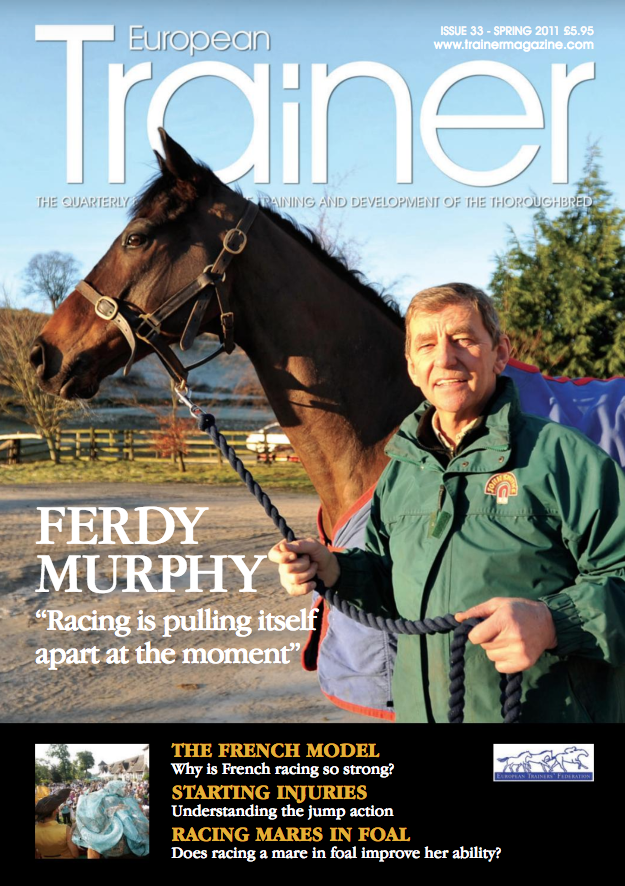 Spring 2011, issue 33 (PRINT)