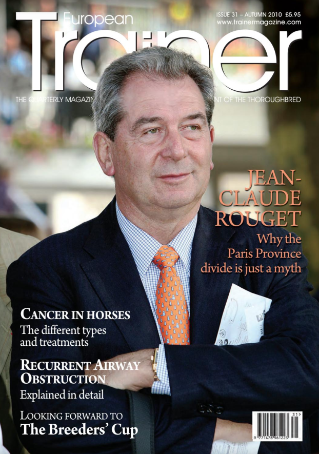 Autumn 2010, issue 31 (PRINT)