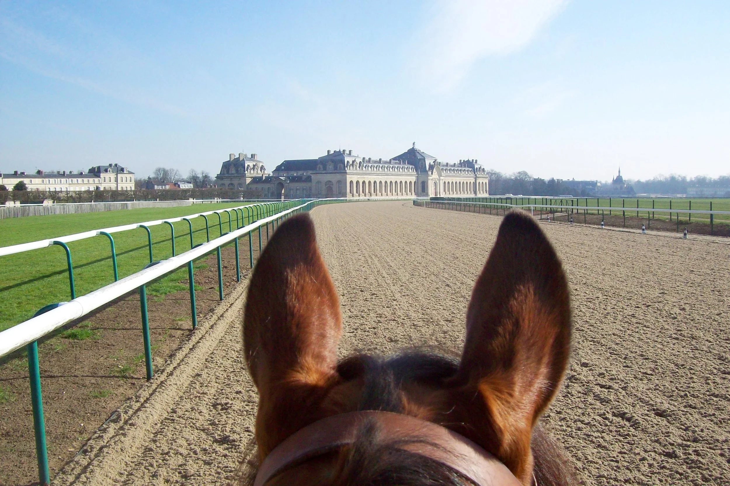 Racehorses have been trained in Chantilly since anyone can remember. It would be fair to say that the horses are part of the fabric of the town, perhaps just as much so as the bobbin lace, which Chantilly was famous for in the 17th century. Surrounded by forest and located some 30 kilometres from Paris, Chantilly is the iconic home of French racing and training. Managing the hectares of training grounds and the racecourse is no easy task, but the responsibility lies in the hands of Marin Le Cour Grandmaison and his boss Matthieu Vincent, who splits his time between Chantilly, Deauville, and Maisons-Laffitte. They see themselves as ambassadors for racing in Chantilly, evangelical about what the town has to offer and keen to expand the centre’s reach to up-and-coming young trainers. Spending time in their company, it becomes clear that their primary focus is to give the trainers the tools they need to train horses better. Take Montjeu, who according to Vincent was not only his favourite horse but quite a quirky customer to train. “The horse was difficult and John (Hammond) did a great job with him. We would have him working at the racecourse at 5am. One day Cash Asmussen came to the racecourse to ride but John didn’t want him to gallop, just trot. He wanted him trotting for 500 hundred metres. But after 20 metres Montjeu wanted to go. So John stopped him and we ended up opening the racecourse to repeat the exercise five or six times and eventually he relaxed. We would do that for any trainer and it wouldn’t make any difference to us if they wanted to do something special at 5pm in the evening, we are here to help our clients.” Chantilly is home to 110 trainers and approximately 2500 horses, of which 250 are jumpers (National Hunt). “In 2010 we had 2400 flat horses and 600 jumpers here and the average trainer was maybe 60 years of age,” says Vincent. “If we compare Chantilly and Newmarket, Newmarket is more of a dream for some owners because they have a lot of classic younger trainers -- that’s good, the young. We need to have younger trainers, we want to help the young trainers here. It used to be every trainer’s dream to train here. Now we have the provinces, look at Jean Claude Roget: in 2005 he started to have classic horses but he’s not from Chantilly. So some said, ‘Maybe you can be a good trainer anywhere in France.’” Chantilly Racecourse used to open for 12 days a year, but with the advent of all-weather racing in 2012 that number has jumped to 45. “But we have less and less horses in training in Chantilly since 2012. The track has helped us retain horses. It helps the trainers. Twenty years ago it was so quiet here and horses were just walking and trotting, but now with the all-weather tracks we’re training every day.” The all-weather track has proven to be a good investment for the local economy, partly funded by the town, which put in €1,500,000 of the €5,000,000 cost. The annual tax income runs into a healthy seven figure sum. On top of that, the town is home to 2000 workers whose income comes from the racing industry, with a staggering 50% of the workforce being stable staff or riders. Who knows what the shrinkage would have been like if the all-weather hadn’t happened. Subtle changes are afoot amongst the training ranks in Chantilly; this year alone Criquette Head-Maarek, Elie Lellouche, and Francois Doumen have retired, and these trainers need replacing. “There have been a lot of complications to come training in France. We need to do more to help the younger trainers set up. But the system is changing and now if a trainer wants to come here from abroad and doesn’t speak much French, they can train here -- as long as they have a good background. It used to be that they had to take the exam in French, but it’s not like that anymore,” enthuses Vincent. “You can come here to train for three months and then another three months but no more than that! You’ll then have to decide if you want to have a permanent licence here.” The size of the training centre is big, about 2000 hectares, which works out at nearly 4500 acres. There are no less than 145 kilometres of natural silica sand tracks and 10 kilometres of all-weather gallops, with over 120 hectares of grass gallops for good measure. It takes quite a team to manage this amount of land. In total, the centre employs 65 people to look after the training grounds, and another 15 people at the racecourse. They are split into five different teams with one team in charge of Les Aigles, one at Lamorlaye and Coye-La-Foret, one at the racecourse, and two teams which can be sent to any part of the estate where needed. The majority of workers on each team are former riders themselves. Those on the morning shift are on hand from 5am to prepare the different tracks for the morning schedule. Different members of the team will work morning, day, or evening shifts. The emphasis on the day team is to tread in turf or renovate the gallops, and in the summer the evening team is responsible for watering 48 hours ahead when needed. Turf gallops are irrigated to give consistent good-to-soft ground. It costs €90 a month per horse to be able to use the training grounds of Chantilly. This might be expensive for some, certainly when compared to the provinces, but where else offers the variety in facilities that Chantilly has? But for the training centre to grow and expand, one can’t help but think that it would be an ideal place for a large vet clinic to be based. At the moment, many trainers send horses to Normandy or even England for treatment. Some trainers will balk at the cost of training in what is effectively a housing suburb of Paris where the non-racing workforce make the daily commute into the capital city. But its geographical position does work in its favour, and having the principle French airport of Charles de Gaulle half an hour away can only be a plus if more international trainers choose to make Chantilly their home.