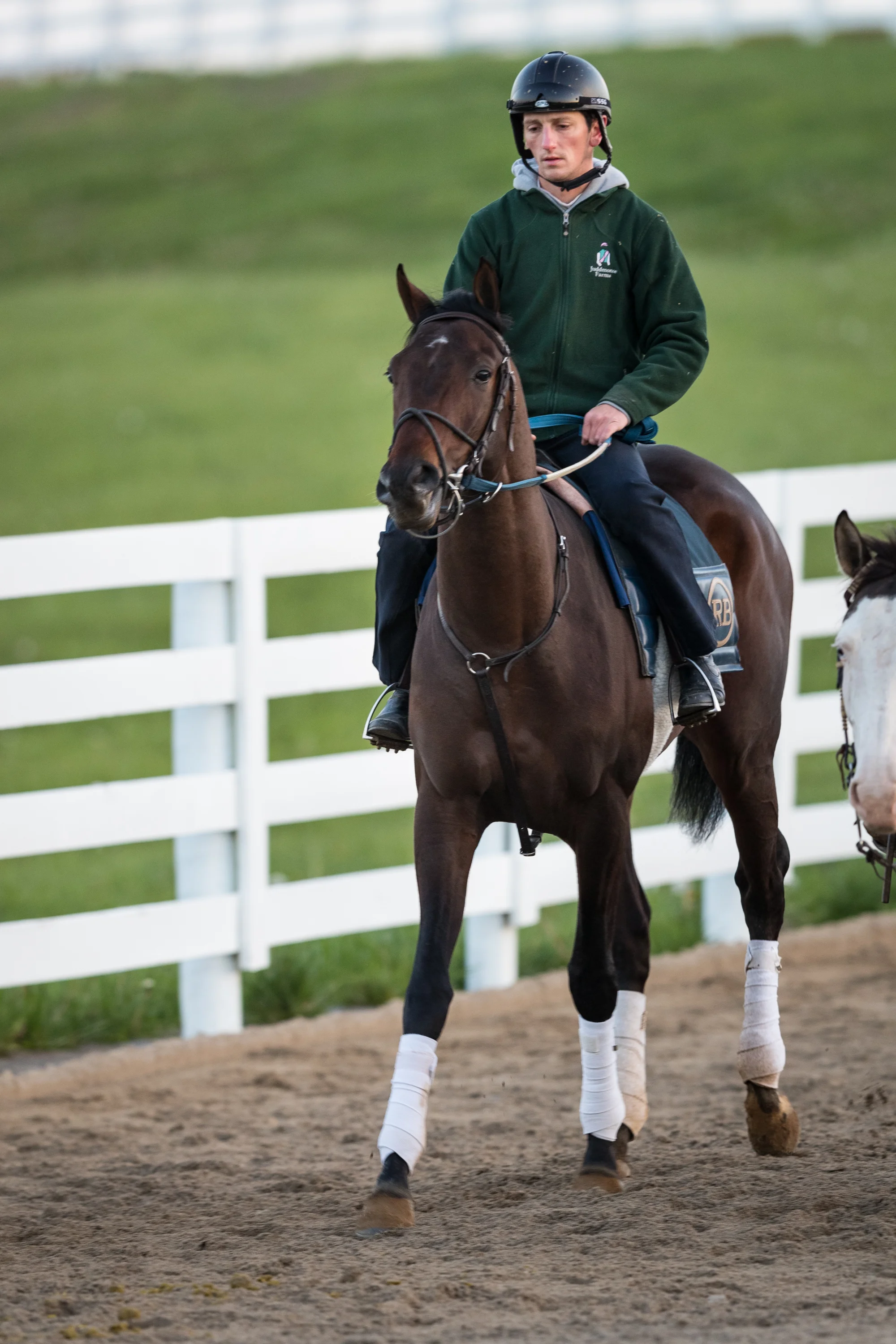 Quip is ponied back from the track at Keeneland 4.18.18.