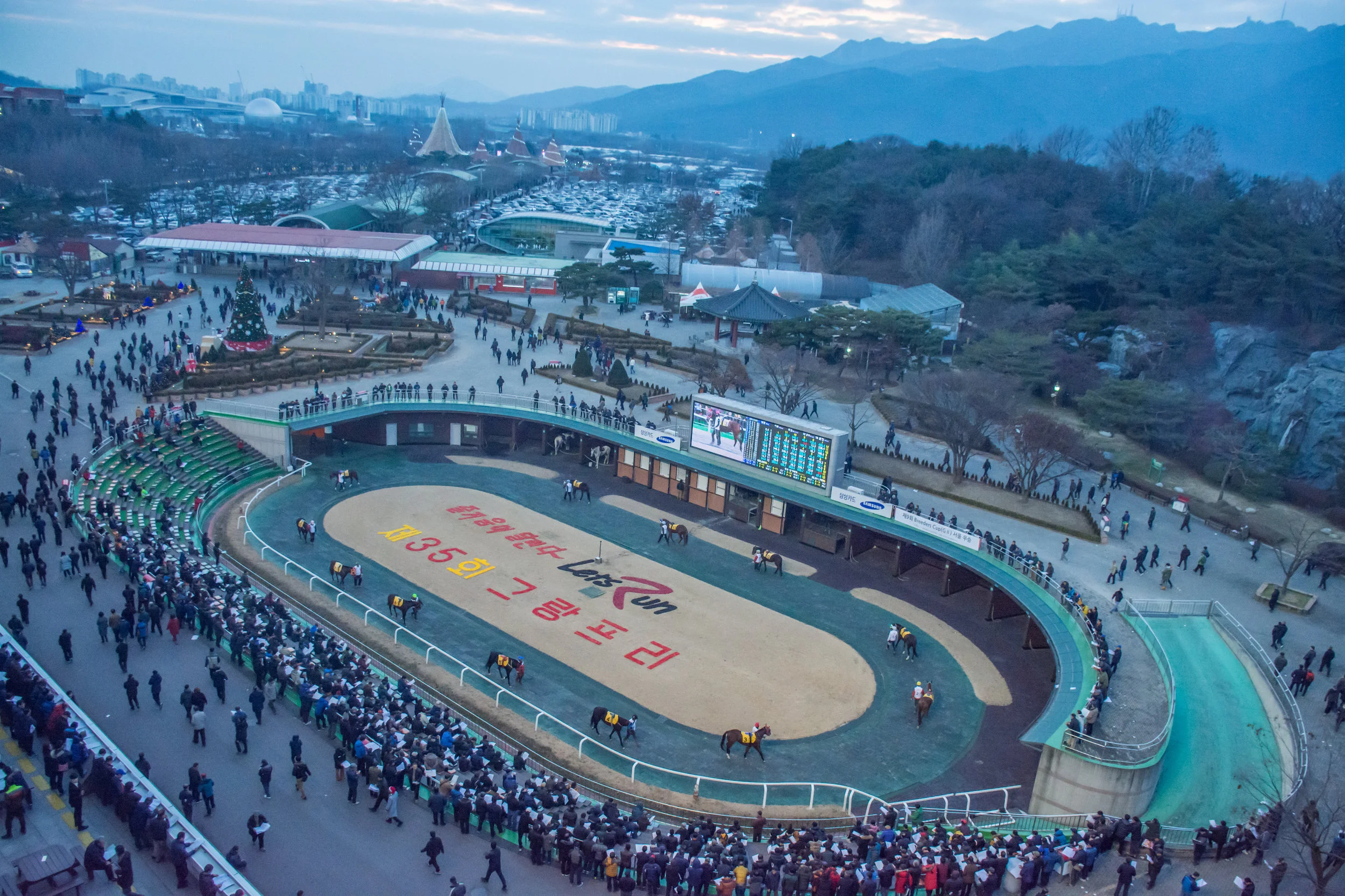 Korean Racing Horseracing in South Korea: A Global Vision | Trainer Magazine | North ...