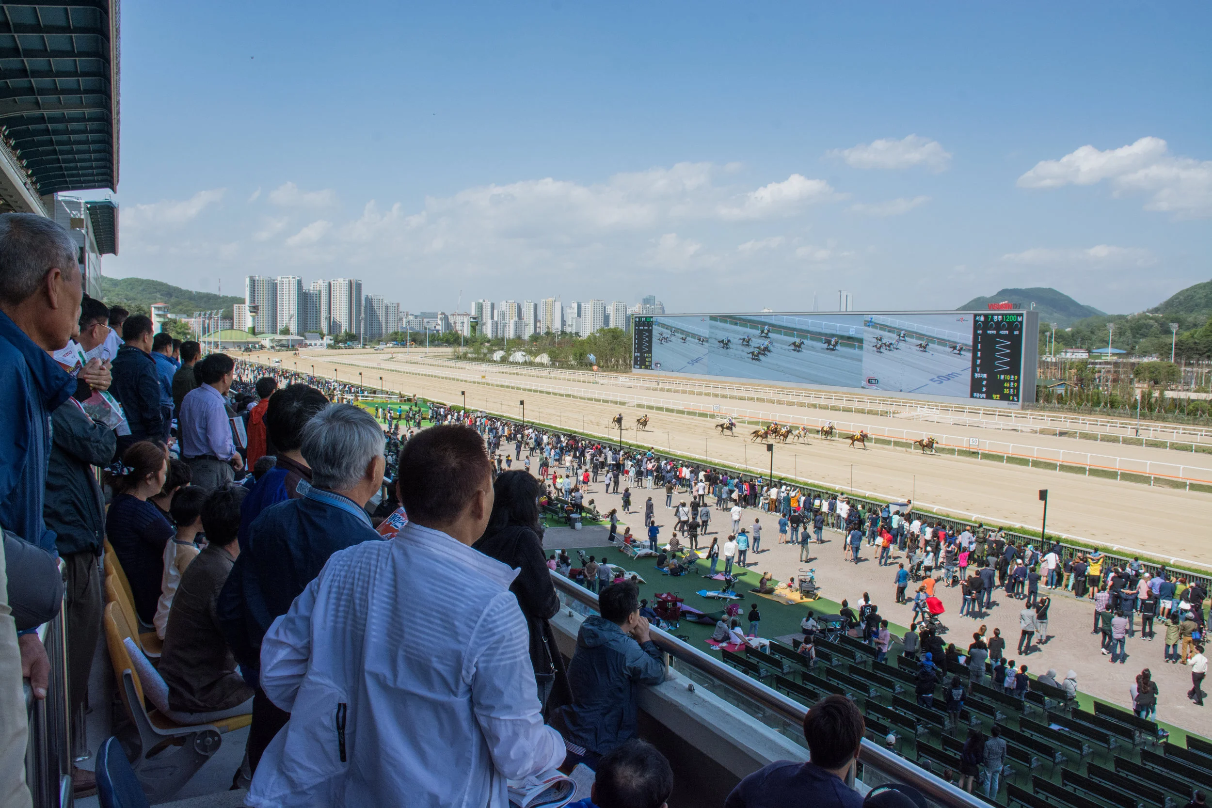 Korean Racing Horseracing in South Korea: A Global Vision | Trainer Magazine | North ...