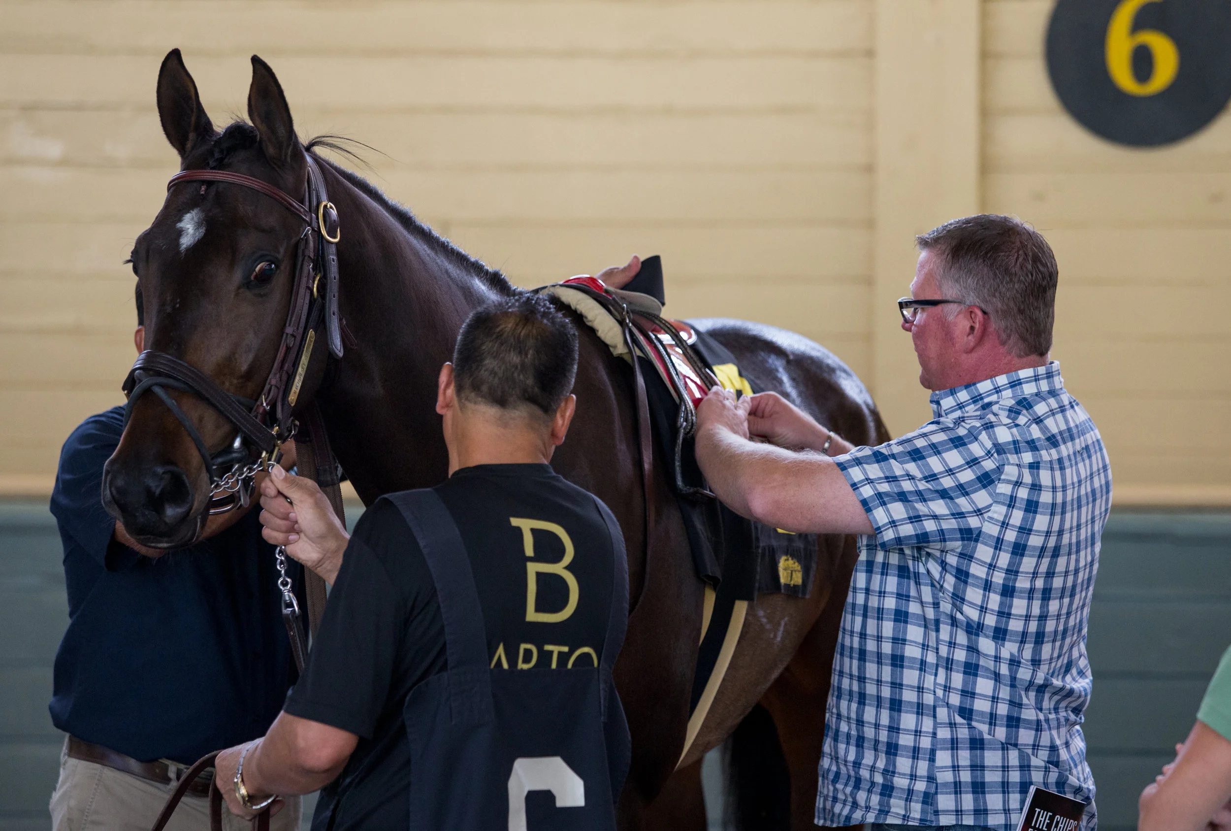 Mike Machowsky: in profile | Trainer Magazine | North American Article ...