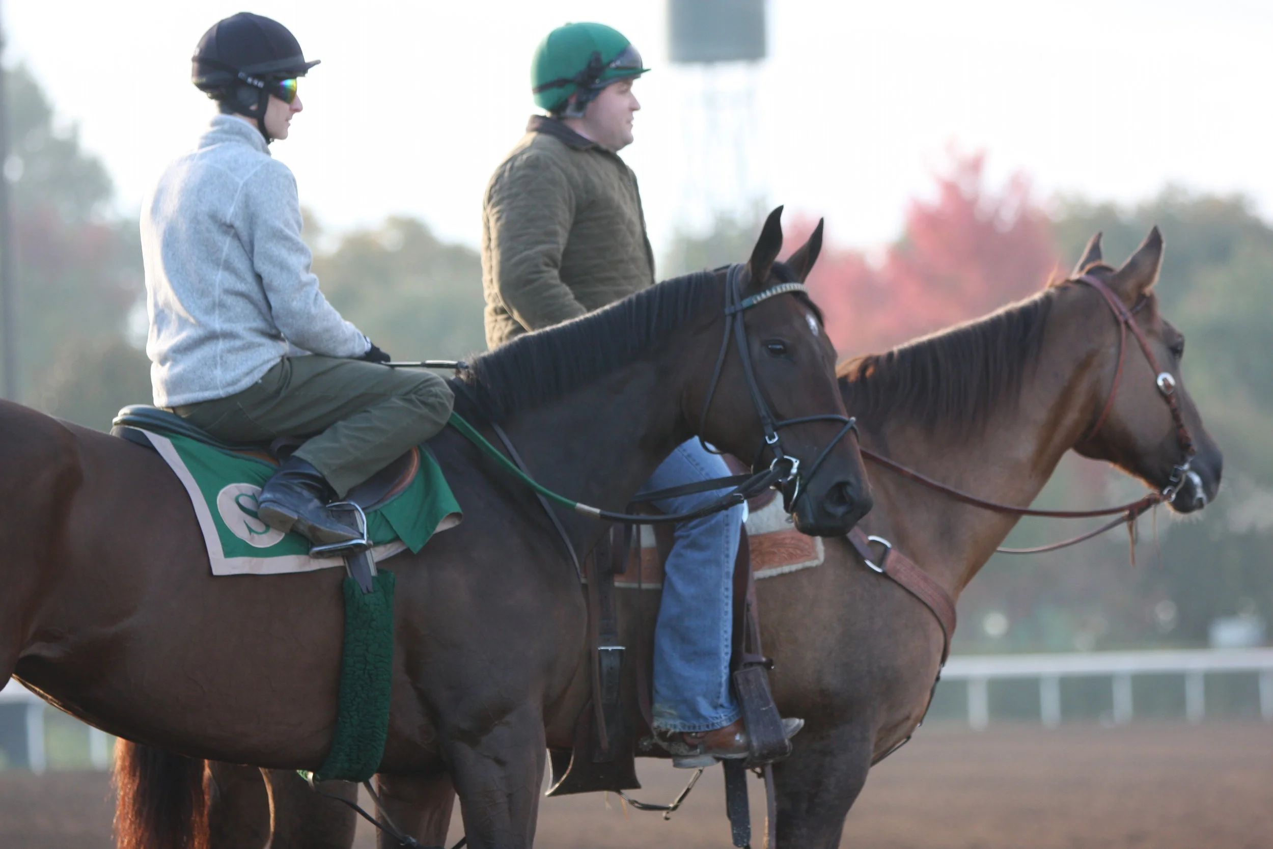 From fertility to foal - Considerations for digestive tract health