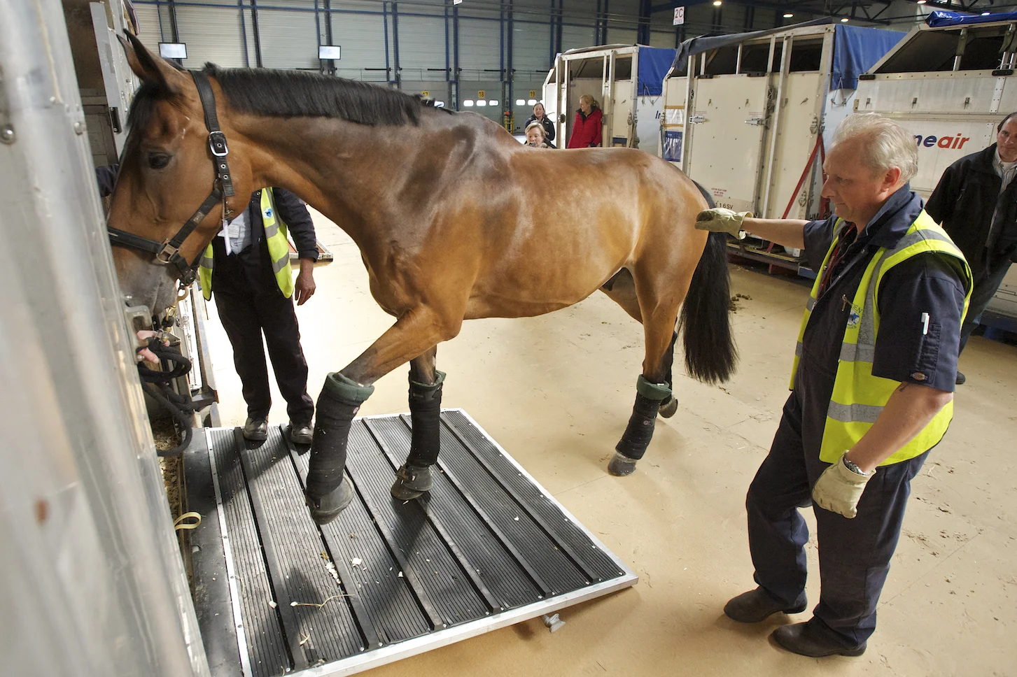 International travel of horses means the virus can spread readily from one country to another.