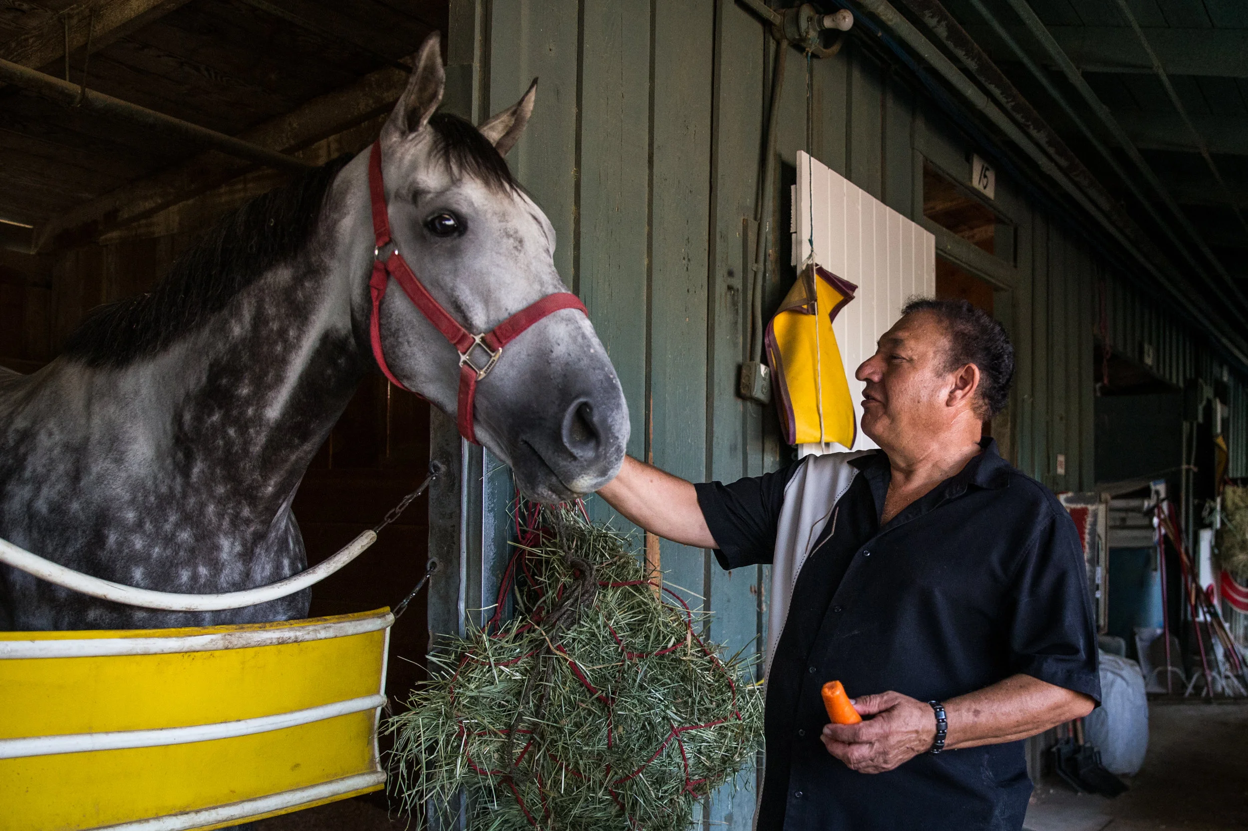 By ED GOLDEN Javier Jose Sierra has survived if not prospered for 45 years in a game he loves. Yet, he does not warrant a bio in any media guide. He is racing’s Invisible Man. The 66-year-old trainer has been sedulously plying his trade despite lack of recognition, ego be damned. A native of El Paso, Sierra stands on a foundation adorned with pillars of self-confidence, gained in no small part from a proper upbringing in a family of 12 children, and tours early on with legendary trainers D. Wayne Lukas and J.J. Pletcher, father of Todd Pletcher. Sierra grew up in Juarez where he played soccer as a kid. At 14 he aspired to be a jockey at Sunland Park in New Mexico, but his father, Cirilo, a native of Mexico, made education a priority. Javier aborted racing, went to school at the University of Texas El Paso (UTEP) and graduated with a degree in electrical engineering. Eventually, he earned an MBA while still working full time. “I was doing well as an engineer,” Sierra said. “I worked my way up to vice president at an aerospace company.” The appeal of the turf, however, proved an alluring temptress. Duly smitten, Sierra ultimately came to California in 1976. “As soon as I graduated from college, I loved racing so much, I bought a couple horses,” he said. “I was doing both jobs at the same time, training horses and working in the aerospace industry.” Most of Javier’s family were involved in racing. “All my brothers worked in racing in different positions, grooms, hot walkers, exercise riders, thanks to my father, who was a trainer. “While in college, I worked three summers for Lukas when he trained quarter horses in New Mexico, and with J.J. Pletcher one year at Sunland Park. I remember Todd being there. He was probably five years old. “I learned a lot from both men, especially Pletcher. I was impressed with the quality of horses he brought in from back east. One was a son of Bold Ruler named First Edition. J.J.’s training regimen was amazing, completely unlike everyone else there at the time. “Gerald Bloss was another big trainer from New York who was in New Mexico in the ‘60s. He was like Baffert is now. He had big owners, like DuPont, and used different techniques from those of the cowboys. We learned a lot from those guys.” Bloss trained the great Gallant Man in the first part of his two-year-old season before he was transferred to New York with John Nerud. Gallant Man, along with Bold Ruler and Round Table, in 1957 comprised arguably the greatest crop of three-year-olds ever. Gallant Man finished second by a nose to Iron Liege and Bill Hartack in that year’s Run for the Roses when Bill Shoemaker, aboard Gallant Man, misjudged the finish line and stood up in the stirrups in the shadow of the wire. Gallant Man went on to win the Belmont Stakes and at age 34, became the longest living horse to win a Triple Crown race. He died on Sept. 7, 1988. Count Fleet was the previous record holder, having died on Nov. 30, 1987 at the age of 33 years, eight months. “My older brother, Cirilo Jr., was an assistant trainer for Jake Casio who conditioned quarter horses in New Mexico for many years,” Sierra continued, “but when Jake died, I asked my brother to help me train at Santa Anita. Ten years ago, he retired and I took over training full time, giving up my job in aerospace.” All these years later, he is a mainstay in the Golden State, making Santa Anita his headquarters save for tours at Del Mar when the seaside track is open. He lives 17 miles from Santa Anita in La Crescenta, with his wife, Dulce. He has never raced on the East Coast. A typical training day is similar to that of most horsemen. “I get up around 4:30 and get to the barn around 5, 5:30,” Sierra said. “We start getting horses to the track at 6:30. The grooms get everything ready, do the cleaning, and concentrate on preparing the horses for their exercises. After they go through their gallops or breezes, we check them again to make sure they’re OK. “We administer medications and ice their legs as needed, and do whatever else is necessary. The horses are given some grain at four in the morning and when they’re finished training, a half a gallon of oats.” A self-taught blue-collar bloodlines buff, Sierra has enjoyed success breeding and buying on the cheap. He hasn’t had any Carry Backs or Seattle Slews yet but he’s had others that have more than paid their way. “All the horses I claimed for $8,000, $10,000 improved,” he said. “Some won at the $50,000 level and some in allowance races. All earned more than $50,000. “I paid $2,200 for Tule Fog and he’s already won $150,000. I bought Plain Wrap for $1,700 and he’s earned over $100,000 and is still racing. Bella Sierra cost $2,000 and earned more than $70,000. “Another was Blue Grass Reward, who I received from Nick Alexander (long-time prominent owner and breeder in California, and current president of the Thoroughbred Owners of California). “Veterinarians and previous trainers of the horse said Blue Grass Reward would never run again, so he was given to me for free. I wound up winning three races with him and close to $100,000.” Perhaps his most successful campaigner and certainly the most popular is a nine-year-old named Muchos Besos (many kisses in Spanish), owned by Hugo Catalan. If ever there was a horse for course, it’s Muchos Besos and Santa Anita, where the gray has won nine of 39 starts, with eight seconds and 12 thirds, earning $286,311. “He’s a nice, honest horse,” said Sierra, who generally books veteran jockey Matt Garcia to ride the committed front-runner. A 48-year-old veteran from San Jose, Garcia and Muchos Besos enjoy rapport that borders on being fictive. Garcia was sidelined for two and a half years from August 2013 until January 2016 while recovering from major injuries to his neck and back suffered in a spill at Humboldt County Fair in Ferndale, California. But a comeback was never in question. “Riding is what I love,” Garcia said. As for Garcia and Muchos Besos, it’s a match made in racing heaven. “It seems like they both like each other,” Sierra said. “Matt stopped riding for a long while, but I put him back on and he rides with the reins kind of loose, and that’s what the horse likes. “I believe in a jockey for the horse and a horse for the jockey. Matt and Muchos get along very well.” Says Garcia, who began his career at the Salinas Rodeo in 1986: “Javier is a wonderful person and wonderful trainer. He’s honest, very loyal and does the best he can with the stock he has. If he had owners who gave him younger horses and quality horses, he would do very well with them. “Give a trainer a good horse and he’ll win.” On the whole, Sierra has done well despite parsimonious limitations not necessarily of his own making. “Five years ago,” Sierra said, “I had 30 horses, mainly claimers, and a team of good employees. After improving horses I had claimed, I approached other owners to solicit more business but they never sent me any horses. I was disappointed, but took it in stride and decided to stick with my small barn. Now I have 12 horses and a couple of loyal owners. “All my horses have become winners and made money for me. The money I earned training for others I used to pay my help and for other expenses. Fortunately, the horses I owned always did well for me. “Mainly I rely on the breeding and conformation, but obviously, for the prices I pay, conformation is not perfect. I’m very good with bloodlines. The horses I buy become winners, but as I said, for those prices, they’re not perfect. “I know how to train them, how to get them ready and how to get the best out of them. That’s the key. I get discouraged with rich owners who spend hundreds of thousands of dollars for horses that don’t pan out. “I’ve offered to select horses for well-heeled investors for free, because with my knowledge, I’m confident I’d succeed. I’ve proven that with cheap horses, so imagine how I’d do if I could spend 50 or $100,000 for a horse. I’ve been studying breeding since 1976 and concentrate on successful combinations. “But the most important thing is the training, knowing when to stop on a horse, when to keep going, because they all get hurt. I don’t care who the trainer is, who the horse is. Eventually, they’re going to get hurt, but if you’re conscientious and apply preventive maintenance, it helps. “I believe in giving the horse time to develop and time to recover after a strenuous effort. “Minor ailments show up but if you catch them in time, you can stop on a horse and give it a chance to recover.” Sierra adheres to fundamental humanitarian beliefs in accordance with his equine morals. Former jockey and trainer Chera Cluck, 57, believes horses are a gift from God to nurture and protect. A decade ago, when she didn’t know where her next meal was coming from, Sierra was there for her. “About 10 years ago when we were both stabled at Hollywood Park, I was going through a really hard time,” Cluck recalled. “I was just holding on, literally eating 99 cent burritos from El Pollo Loco and putting whatever money I had into the horses, caring for them and preparing them. “I wouldn’t cheat them, but I would cheat myself. Every time Javier had a barbecue, he would invite me over to have carne asada with him, and I honestly believe that’s what kept me alive until things improved financially. “I appreciate what he did. He made sure I was eating properly, and since I’m a very private person, I never would have taken the initiative to do something like that on my own.” As one of a dozen children, it was ingrained early in Javier to share and share alike, a principle that serves him well to this day. “There are 10 of us left,” he said, “and we’re very close together. We were taught to help anybody if we could, and that’s what I did for Chera.” Sierra’s philosophy, coupled with an unflagging dedication and passion for what he does, keeps him pushing ever onward in a game fraught with frailties that might prove overbearing to a lesser man. But not Javier Jose Sierra. His future is infinite. “Racing,” he says, “will be my life until I die.”
