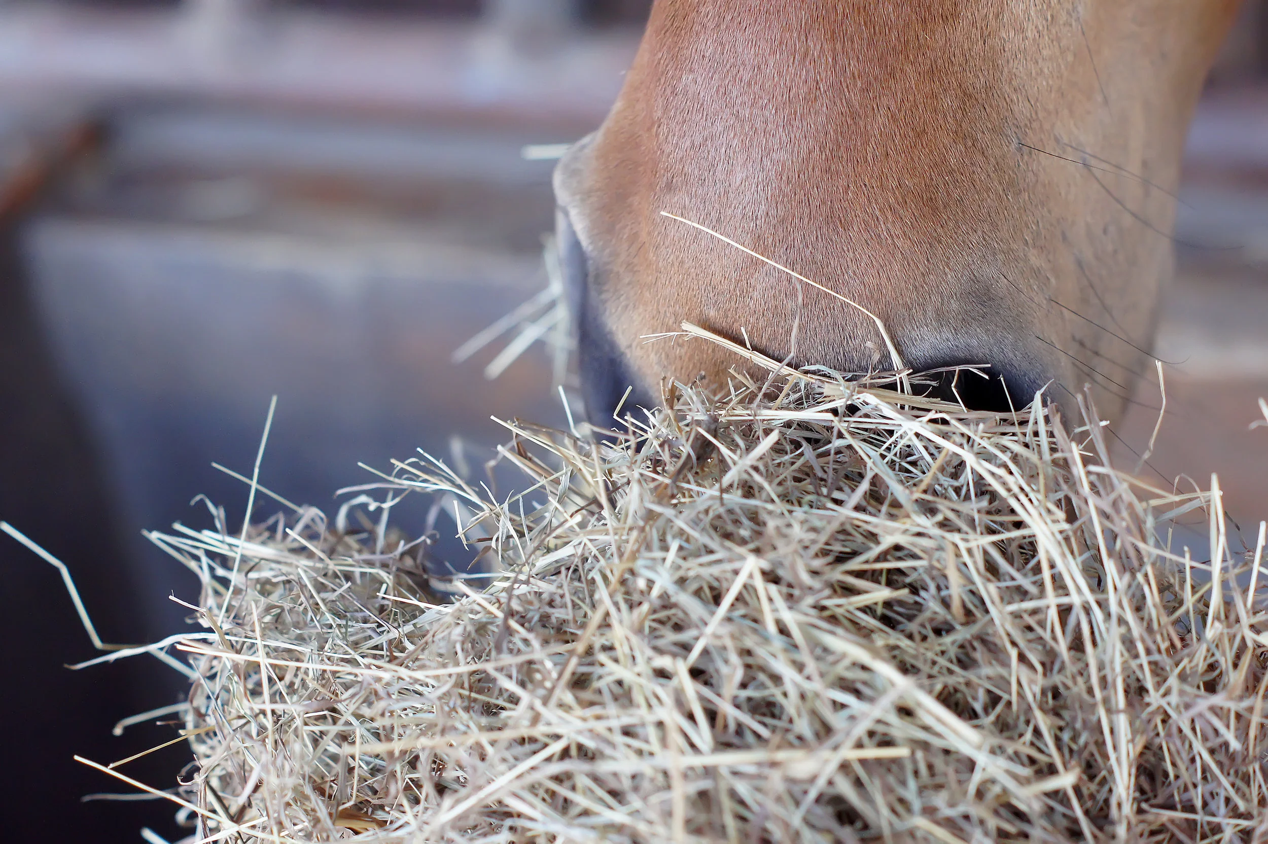 Ulcer medication: are the products to treat that different?