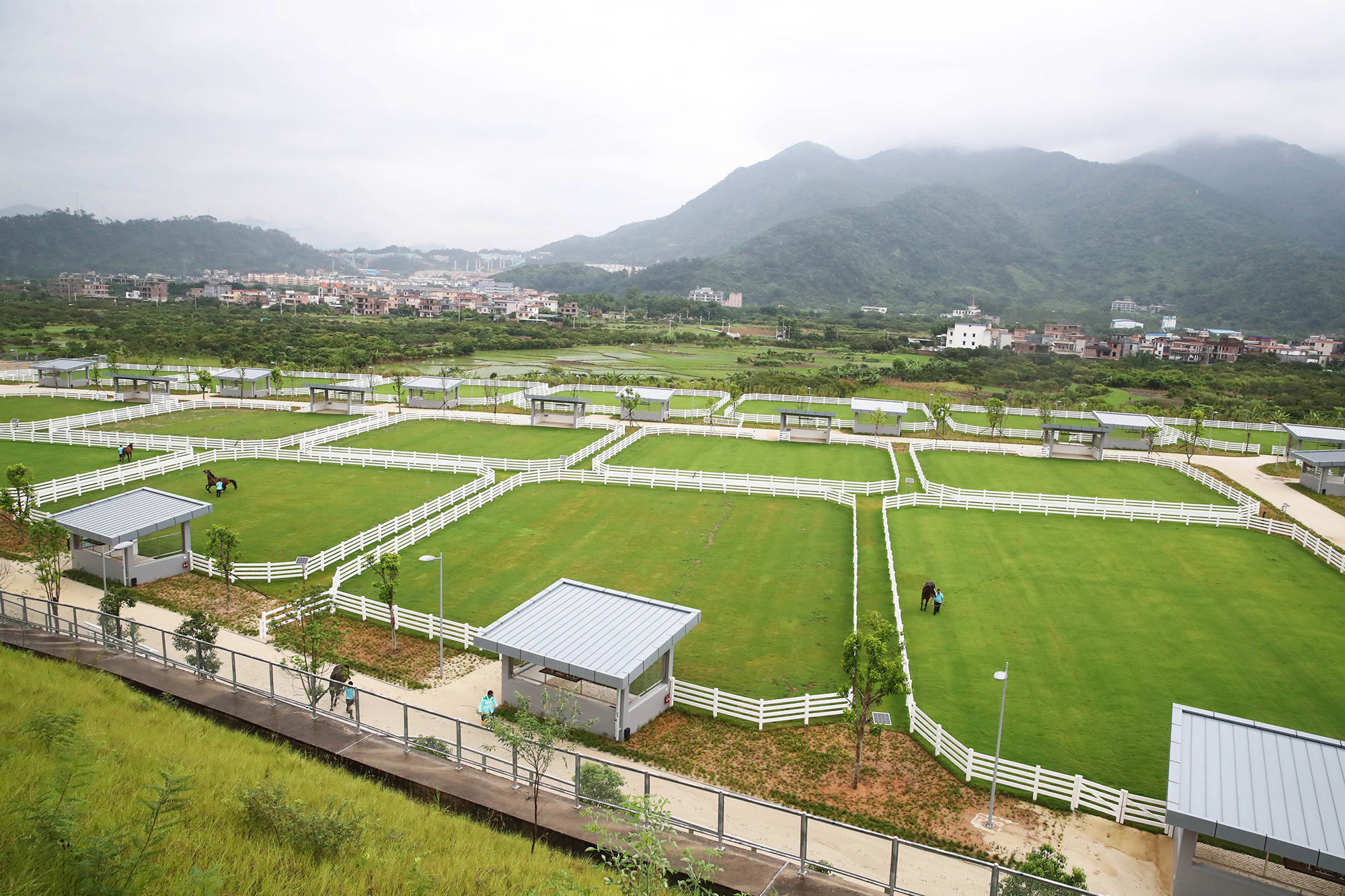 Spelling paddocks for relaxation and rehabilitation.