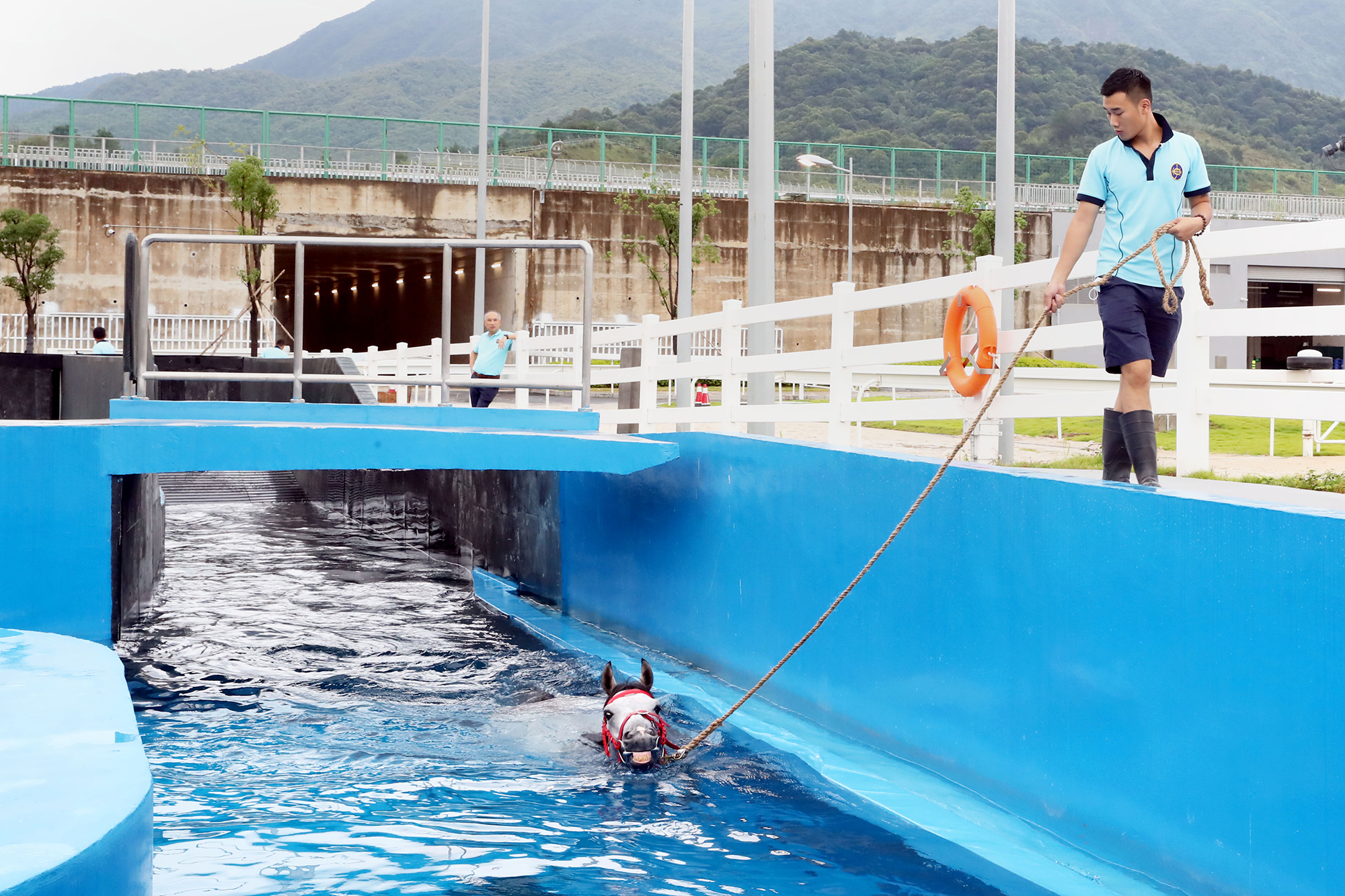 The equine swimming pool has a depth of 2.6m.