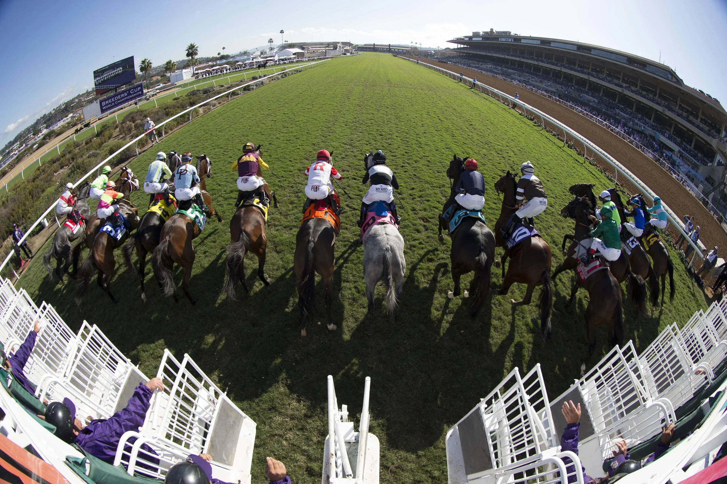 Recruiting runners - The lengths that different tracks are going to maximize fields for their races