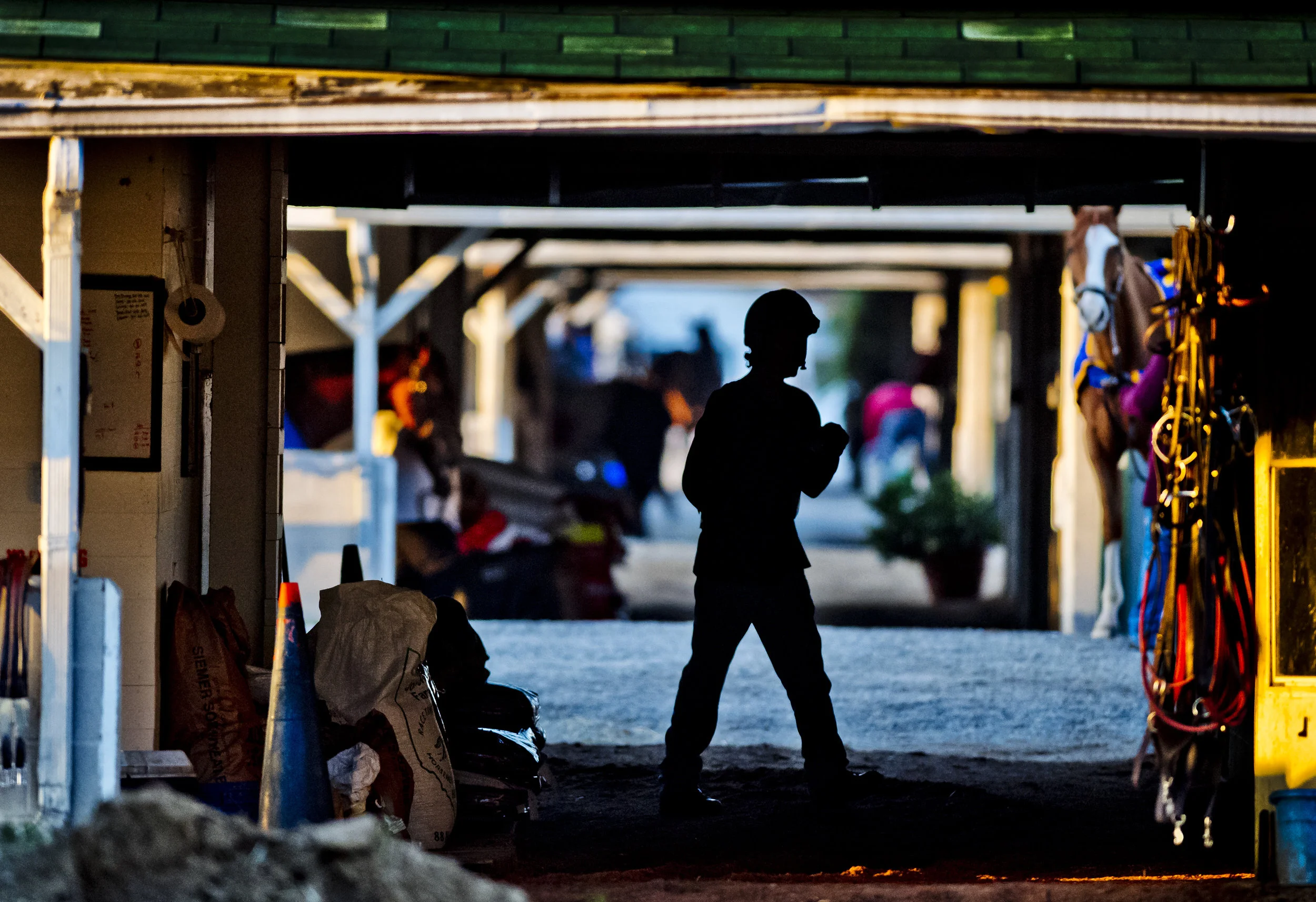 Exercising Horse Sense Part II: Precautions and protections when hiring exercise riders