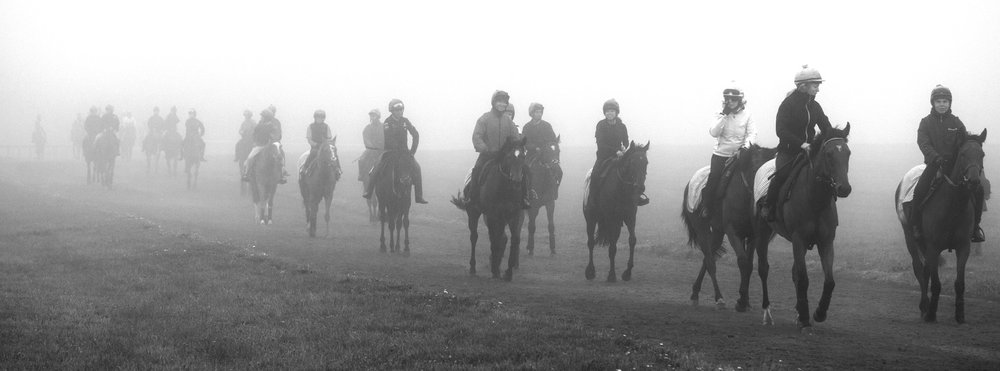 Tramadol: Common Human Painkiller May Be Effective for Horses